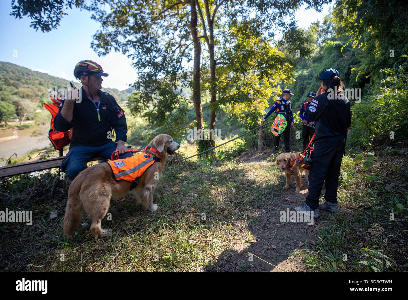 Rescue dogs prepare for a search operation alongside emergency ... - Introducing Dogs To New Emergency Responders