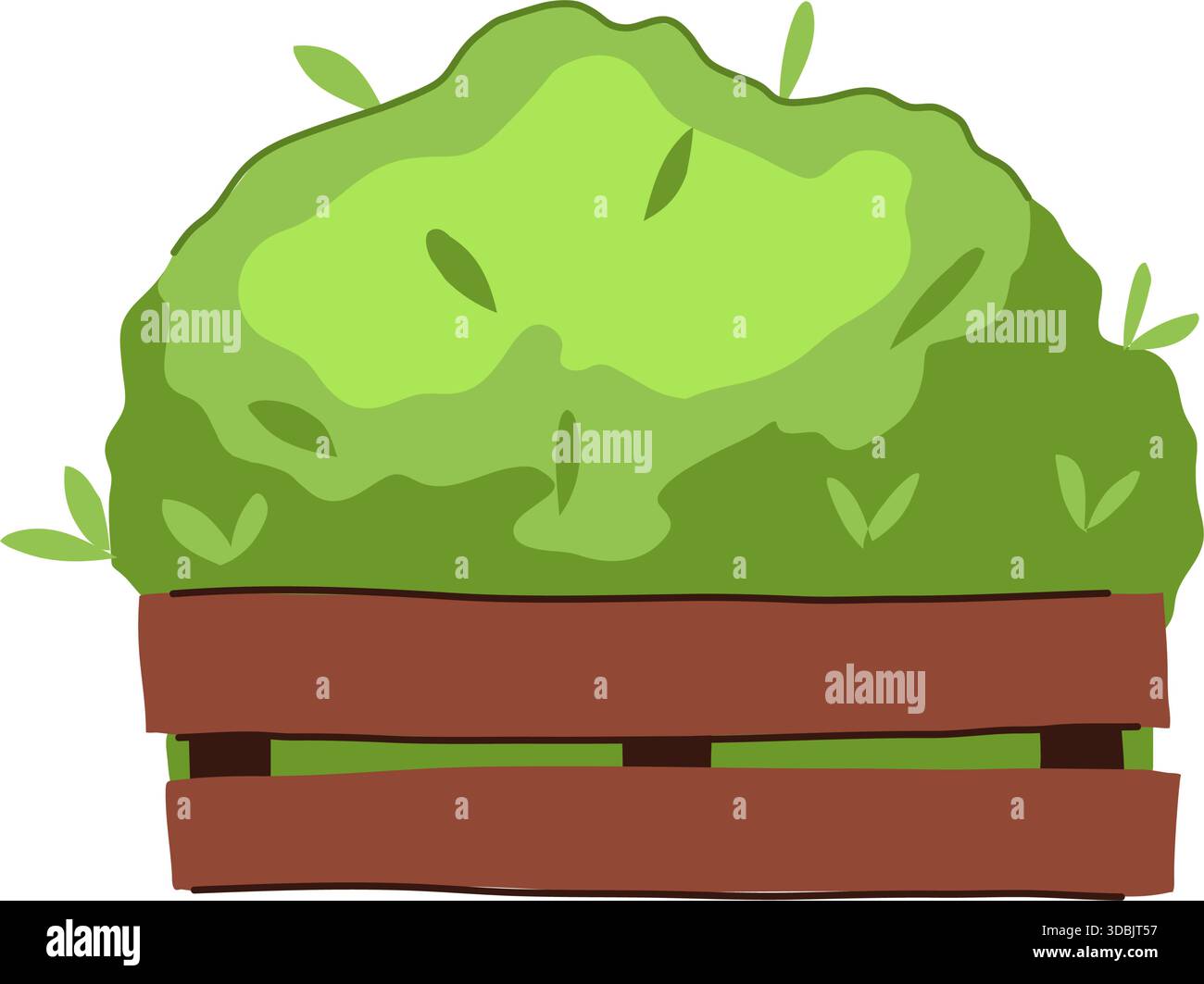 Lush green hedge growing in wooden planter box Stock Vector Image & Art ...