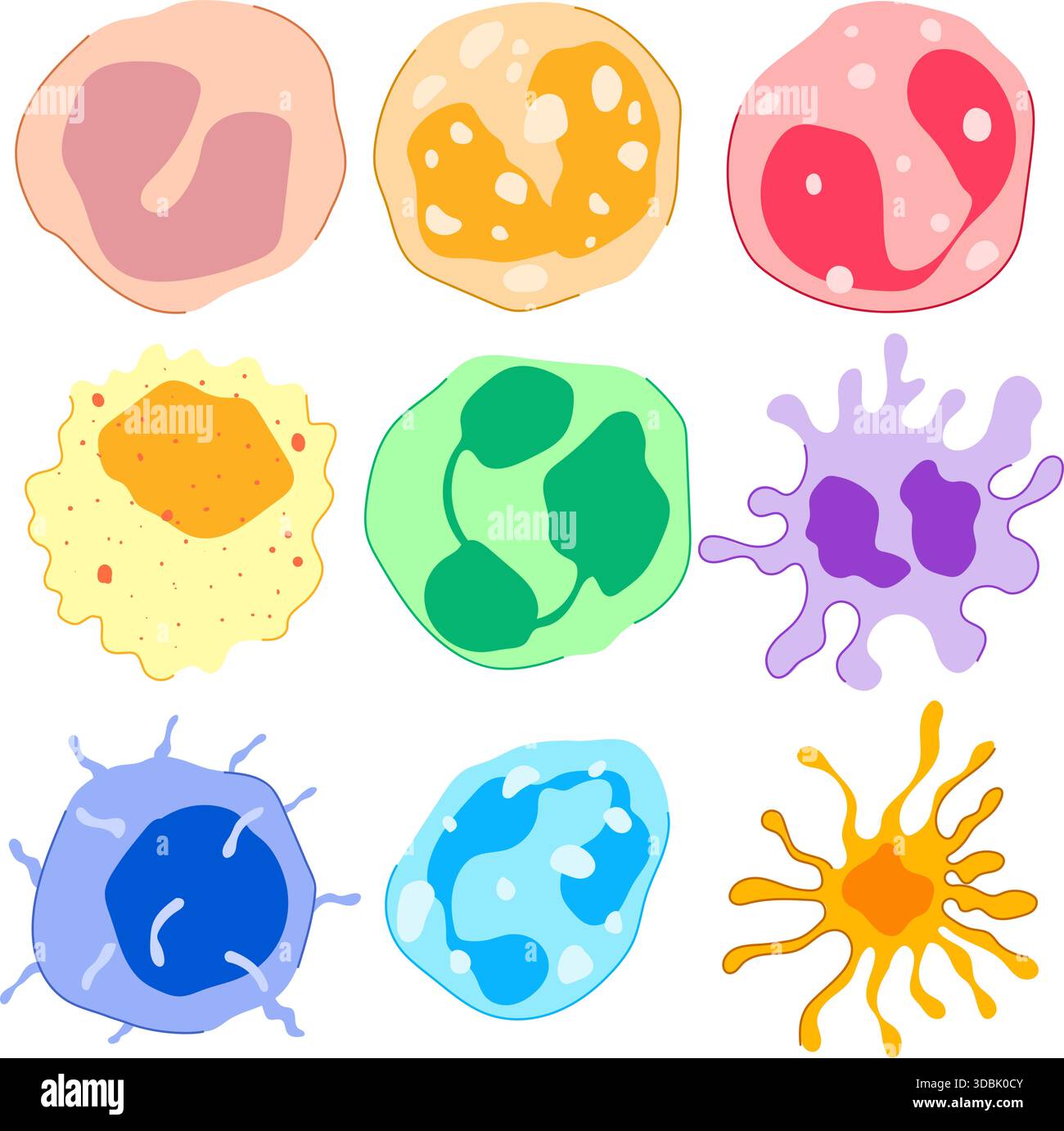 Immune system cells defending human body illustration Stock Vector ...