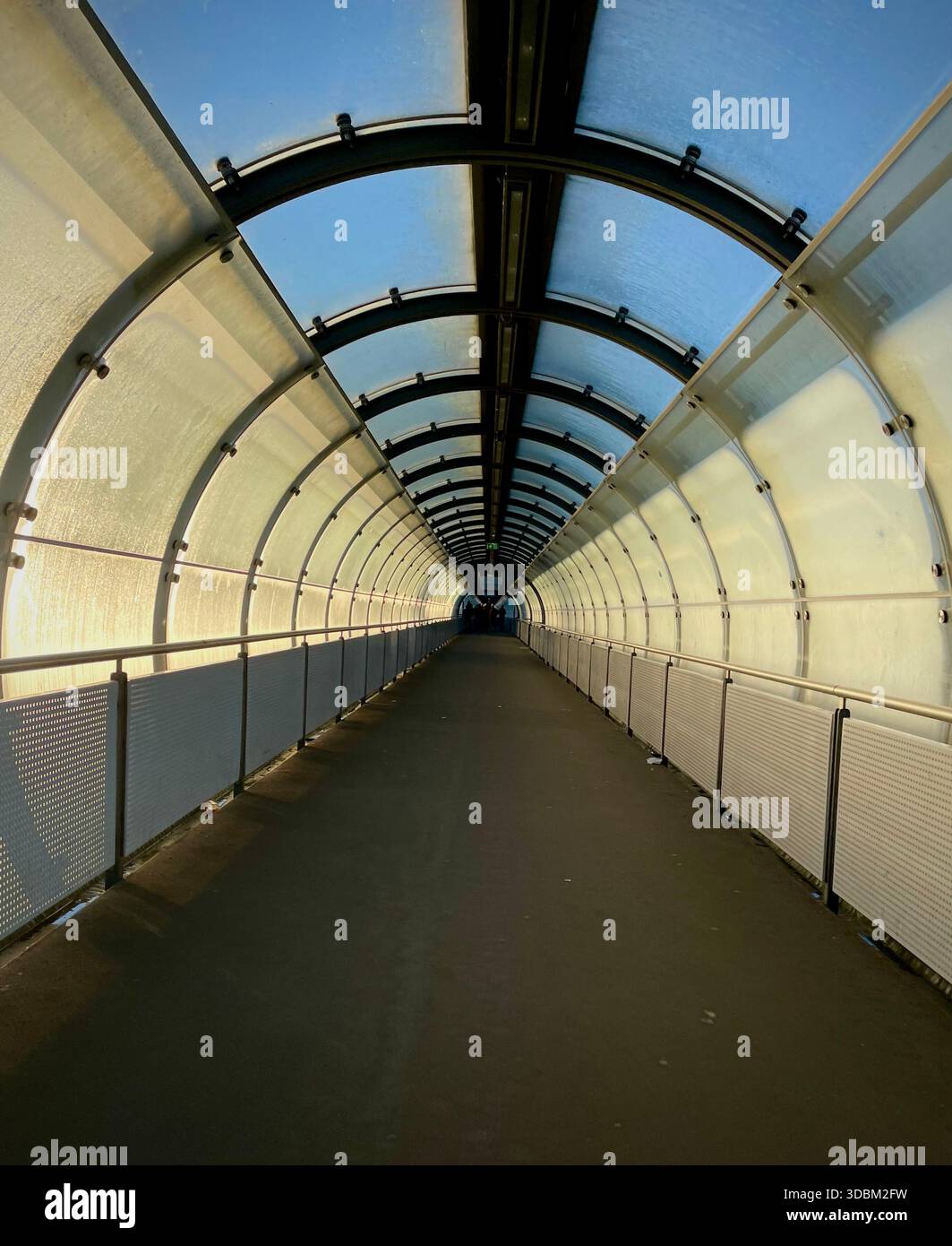 Covered pedestrian walkway with curved glass roof and strong symmetry, illuminated by warm morning light - Smartphone Captured Stock Image