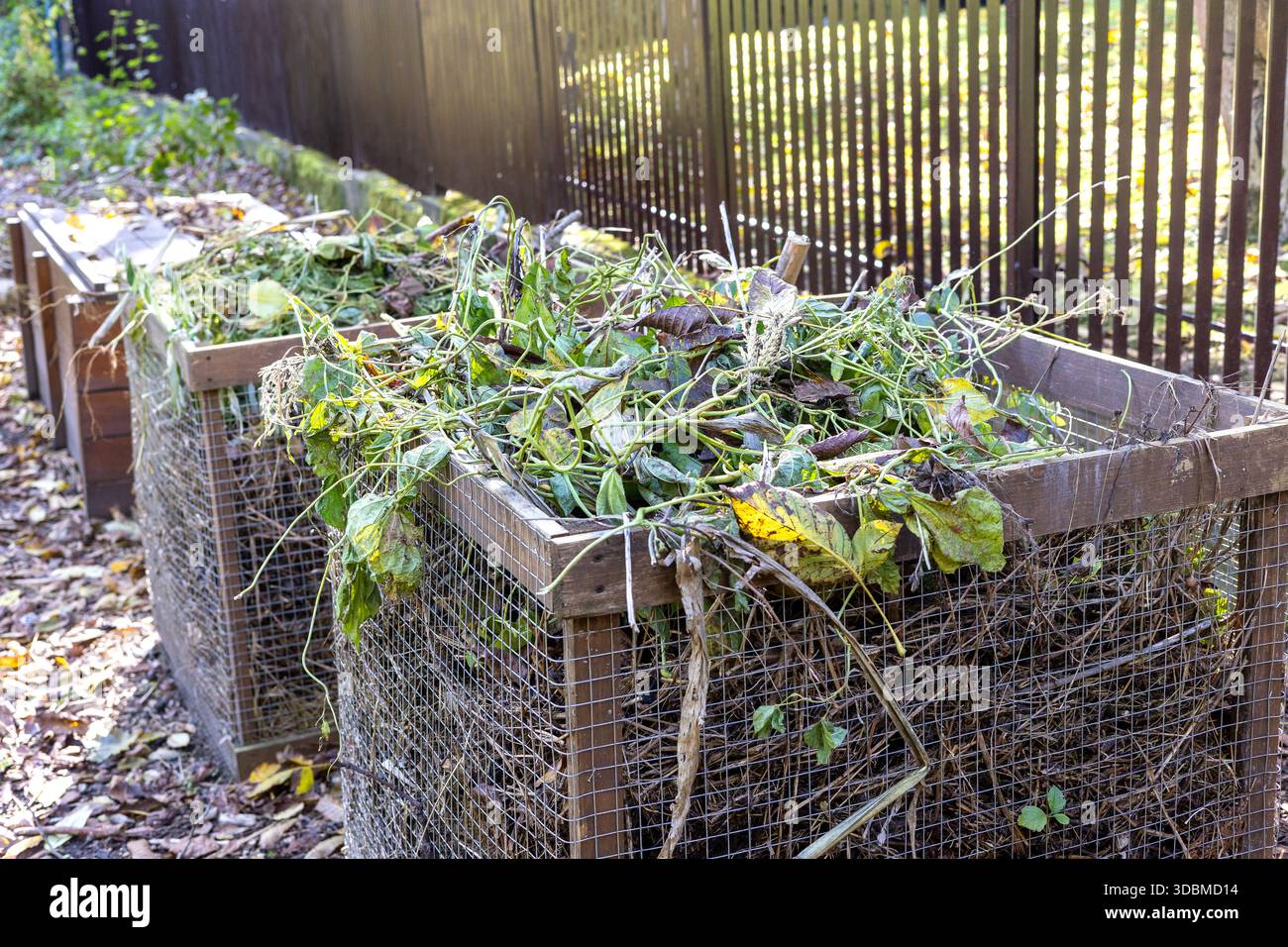 Picture of Outdoor wooden compost bins hi-res stock photography and images - Alamy