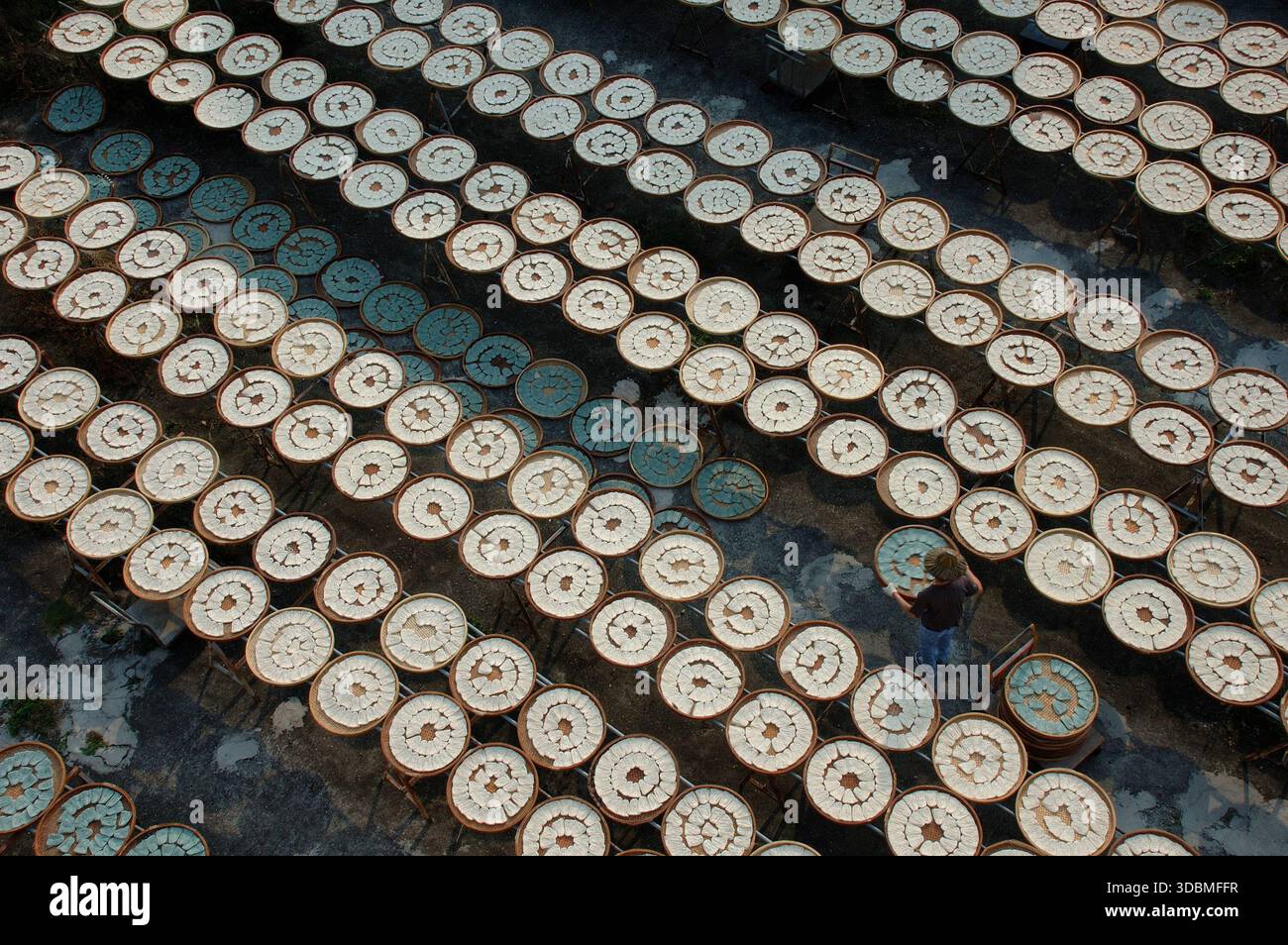 Aerial view of traditional sun drying daikon radish on large round ...