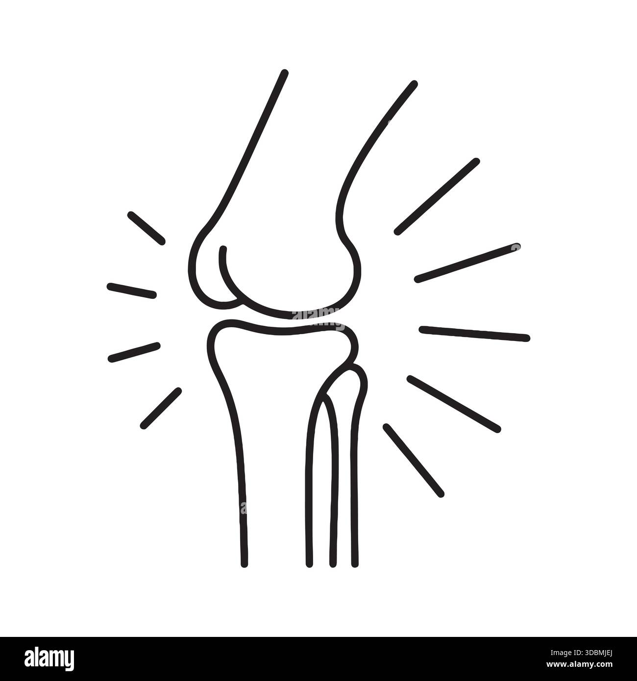 Knee Joint Anatomy Orthopedic Medical Icon Vector Stock Vector Image ...