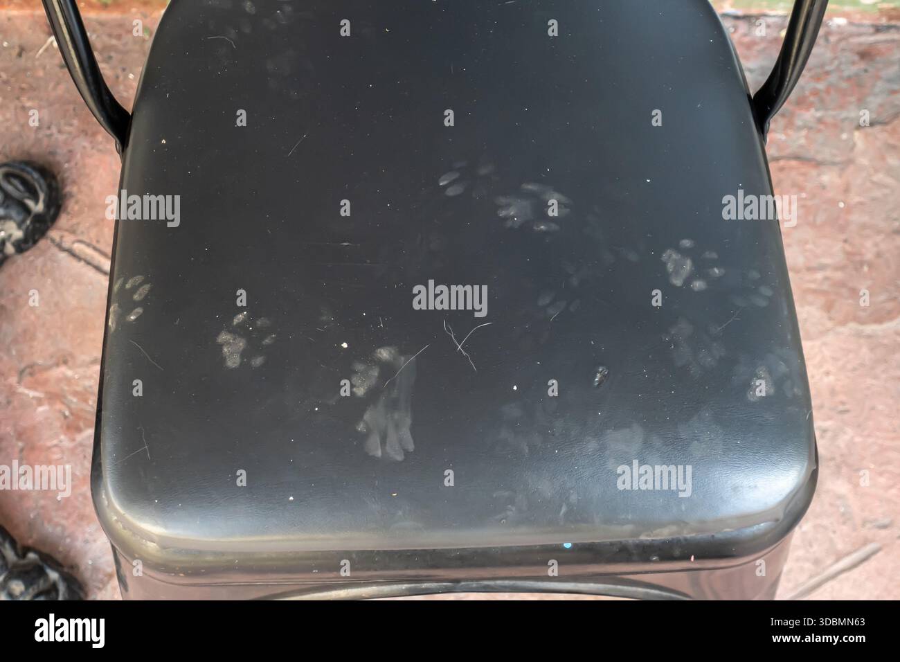 paw prints on a smooth  plastic, surface of a black chair Stock Photo