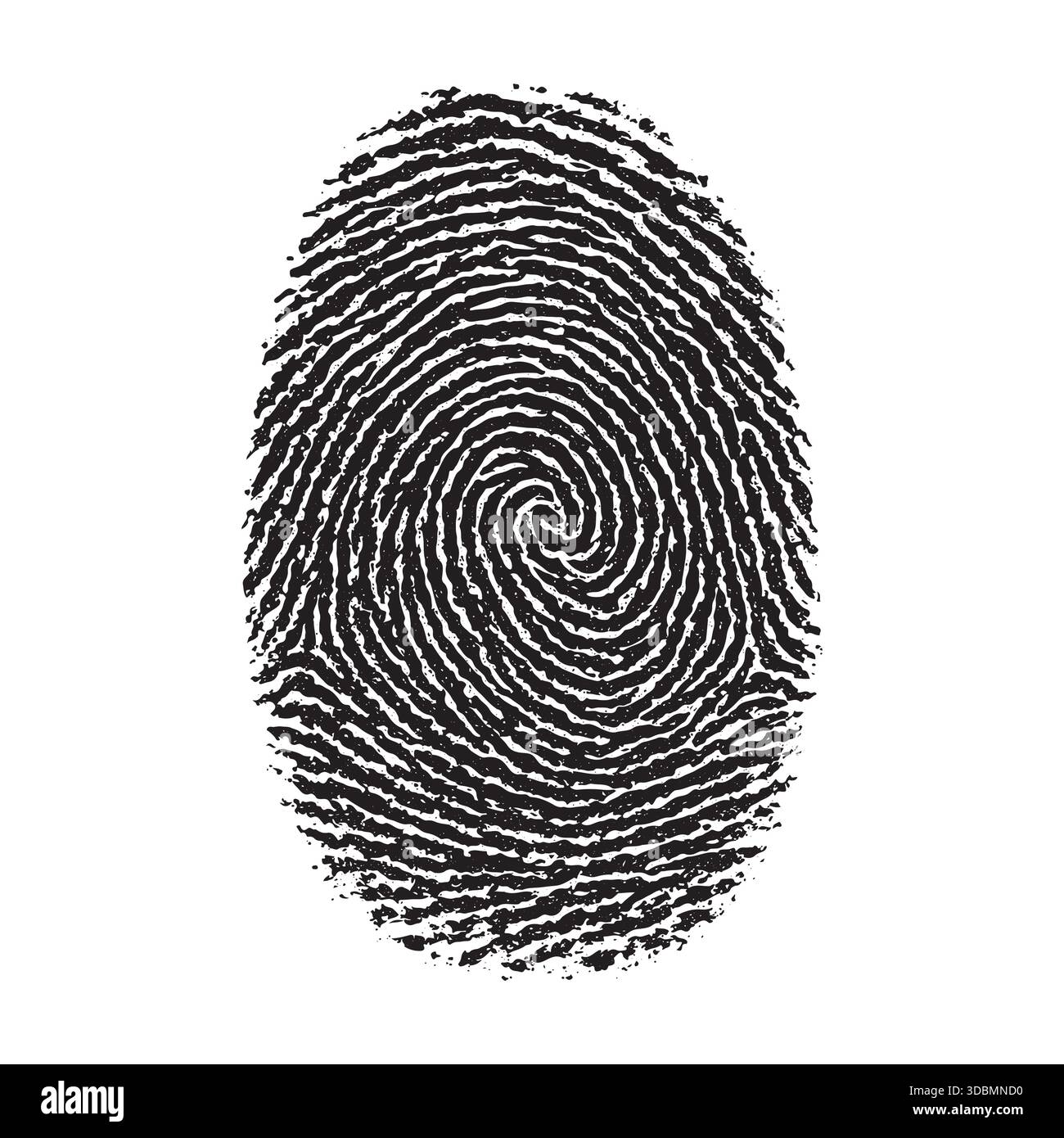 Detailed Black Fingerprint Swirl Pattern Vector Illustration Stock Vector