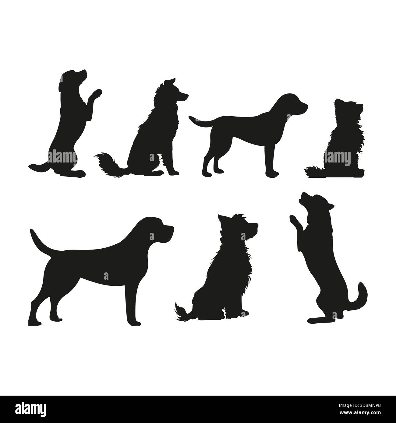 Dog Silhouettes Set Various Poses and Breeds Stock Vector Image & Art ...