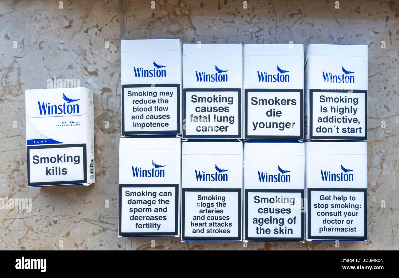 Winston Porter Pastel Color Coastal Beach Scene Paradise III - Coastal Beach Wall Art For Living Room W111257078