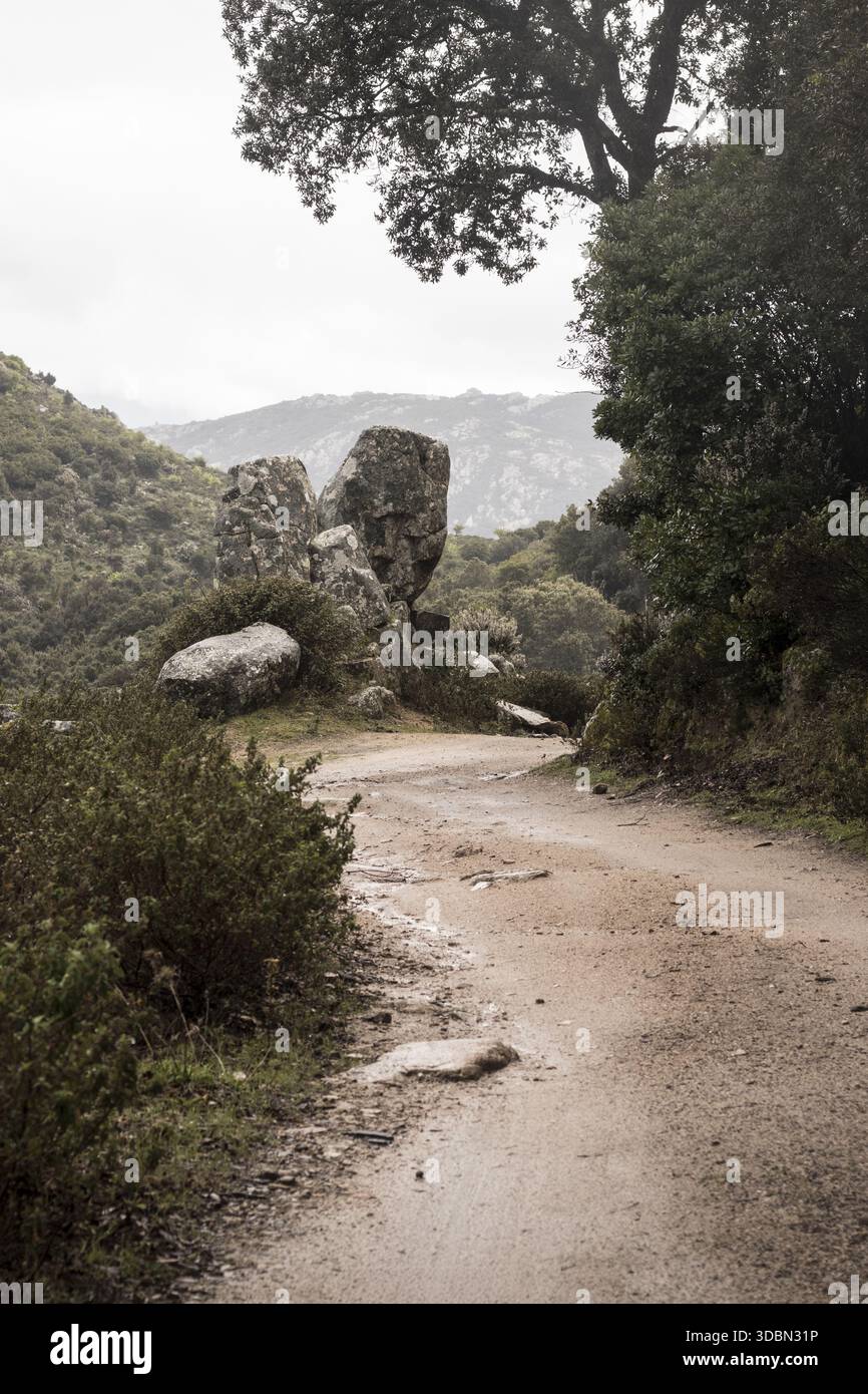 Dirt Path Rocks Dirt path cuts hi-res stock photography and images - Alamy