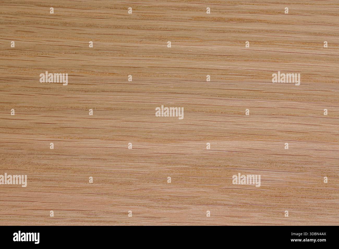 oak wood texture background Stock Photo