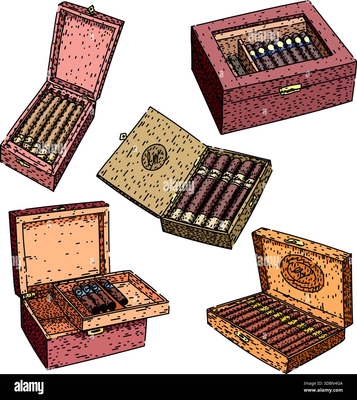 Hand drawn collection of wooden cigar boxes with cigars Stock Vector ...