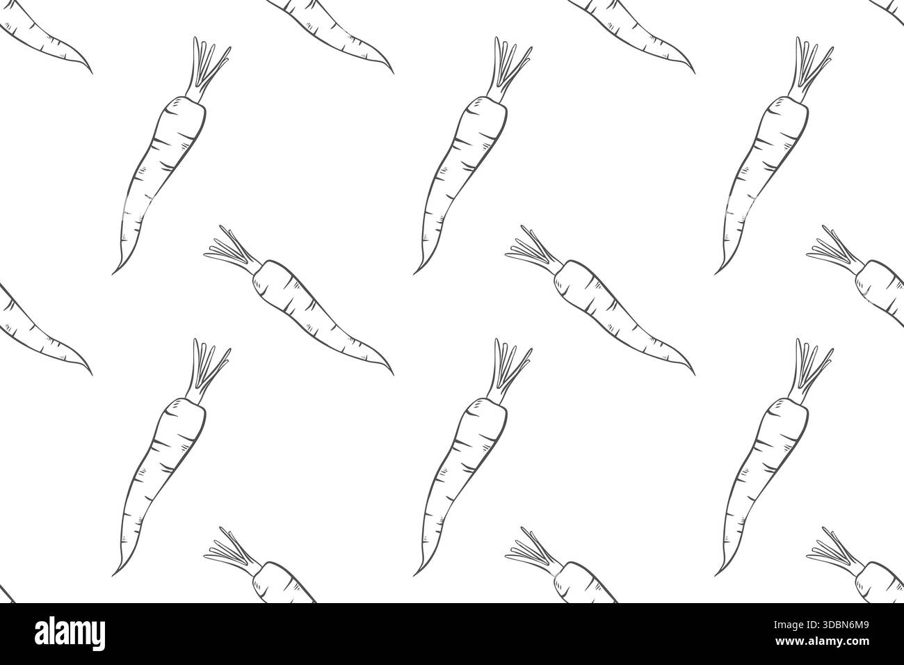 Seamless outline pattern with carrots. Doodle illustration of vegetables. Illustration of healthy eating ingredients. Stock Vector