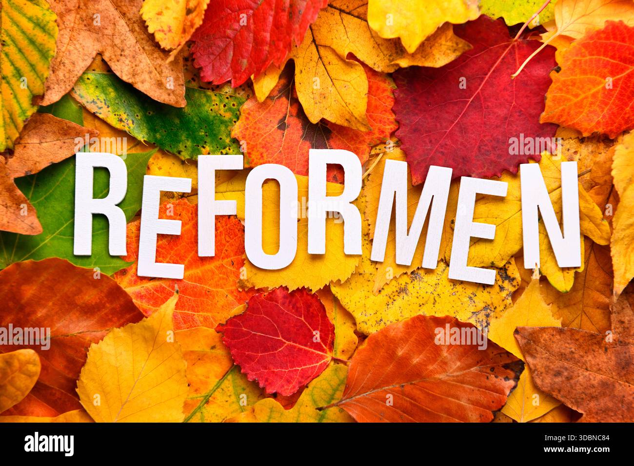Reformss Social reforms hi-res stock photography and images - Alamy