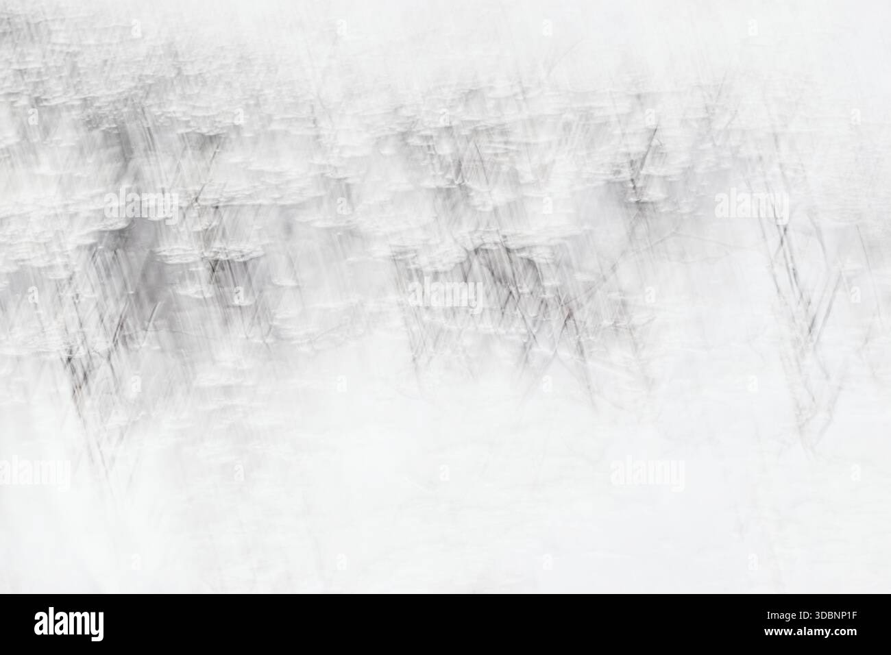 Soft white minimalistic background, abstract scratched texture Stock Photo
