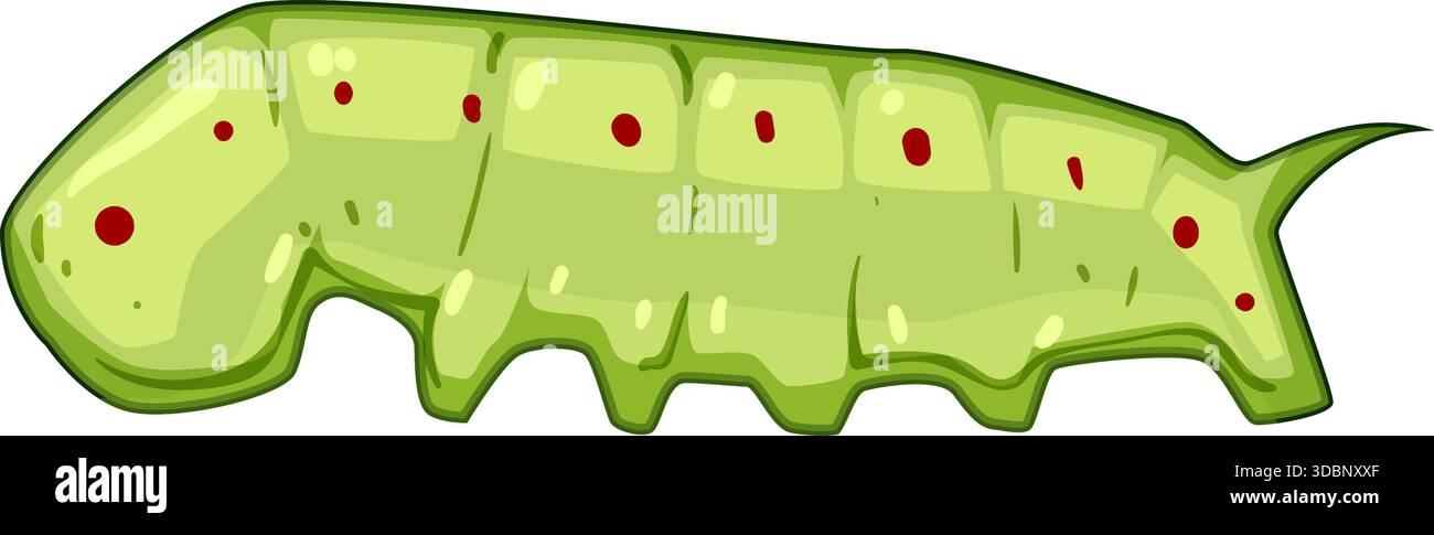 Green caterpillar insect with red spots illustration Stock Vector Image ...