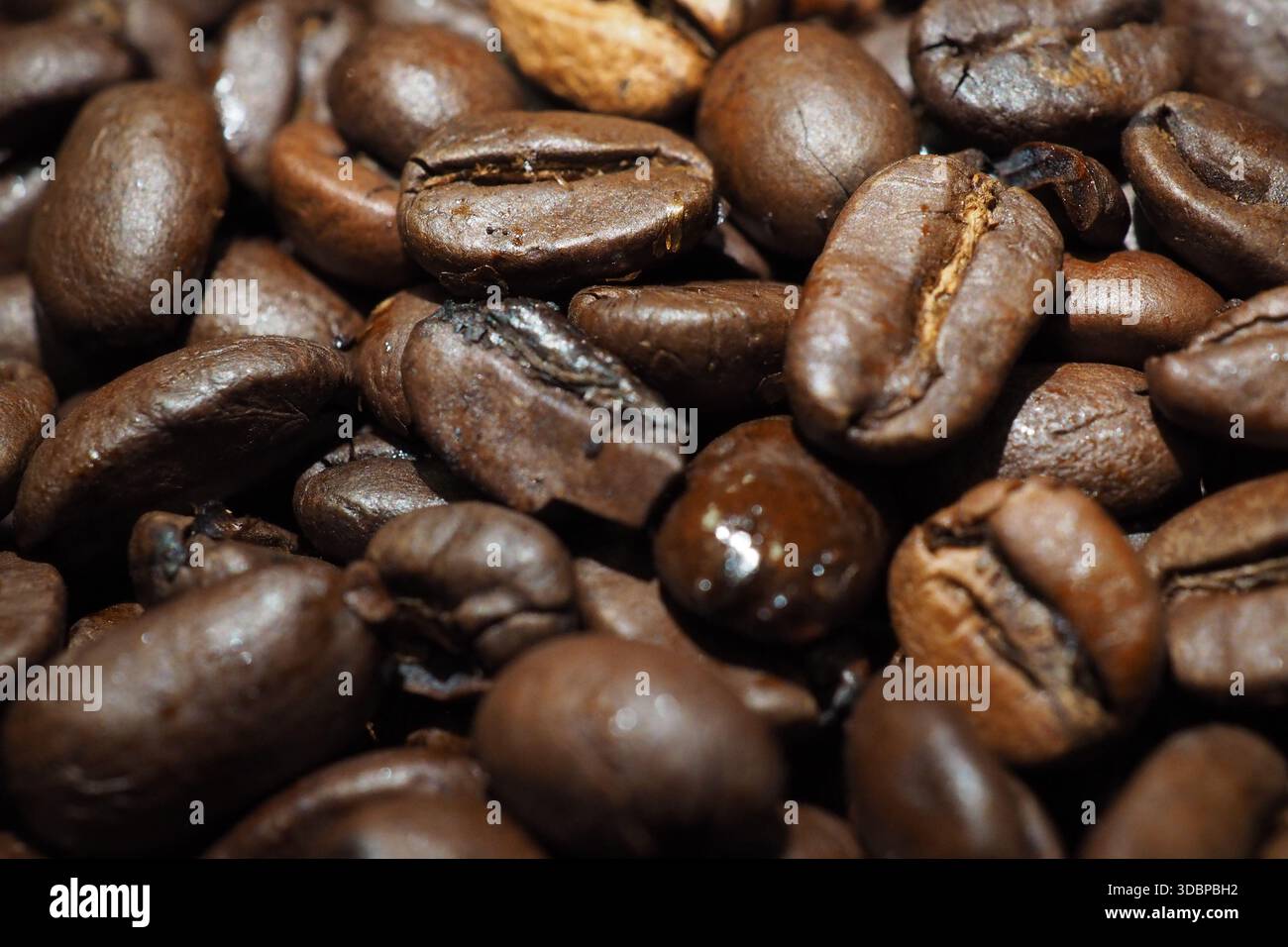 Coffee Beans Stock Photo