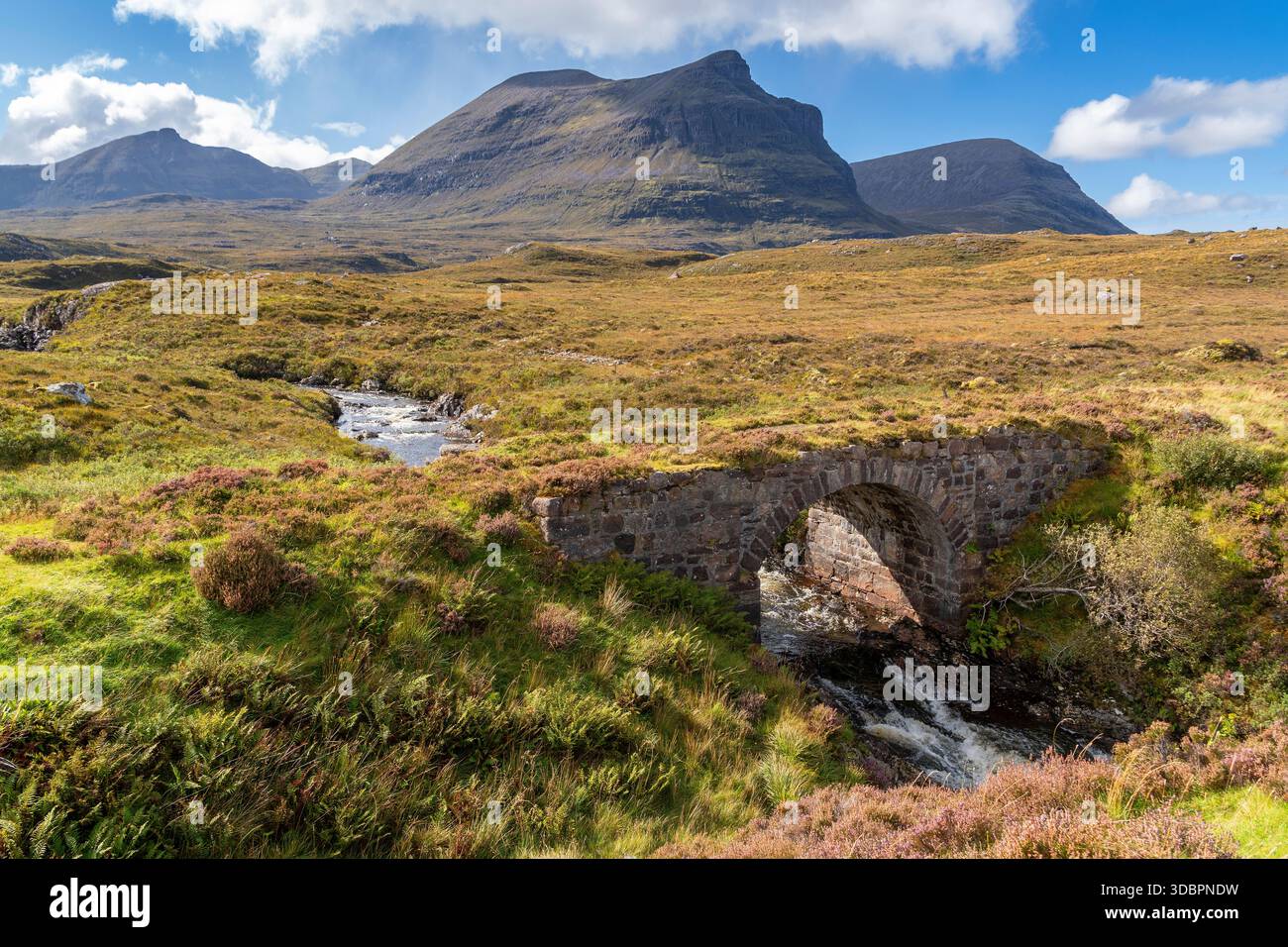 Unapool Unapool hi-res stock photography and images - Alamy