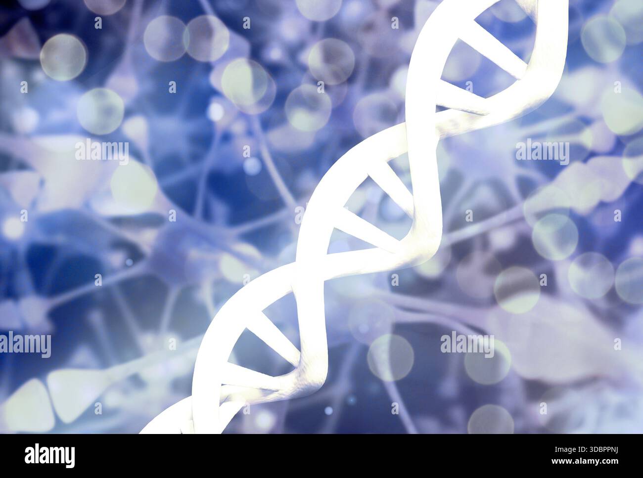 Structure molecule dna neurons hi-res stock photography and images - Alamy