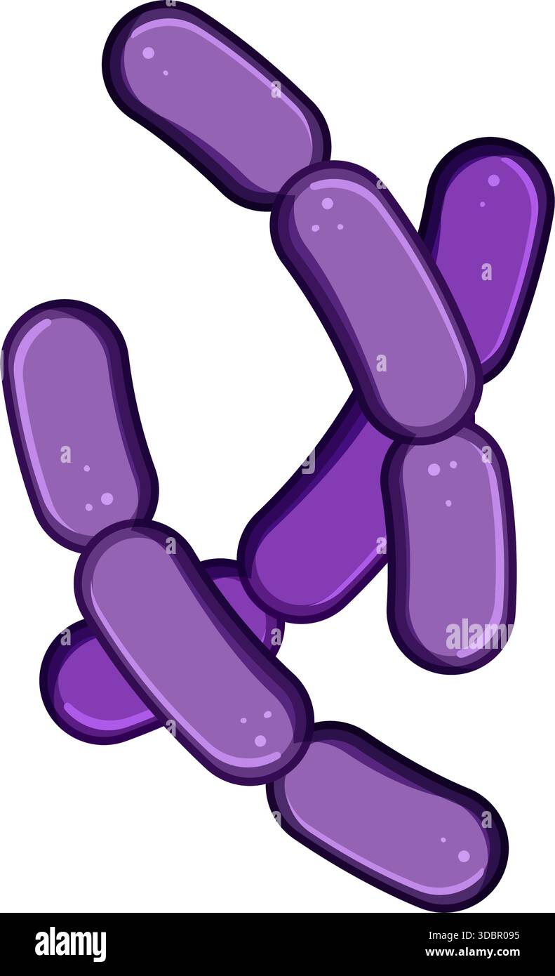 Lactobacillus bacteria forming abstract shape for microbiome science Stock Vector