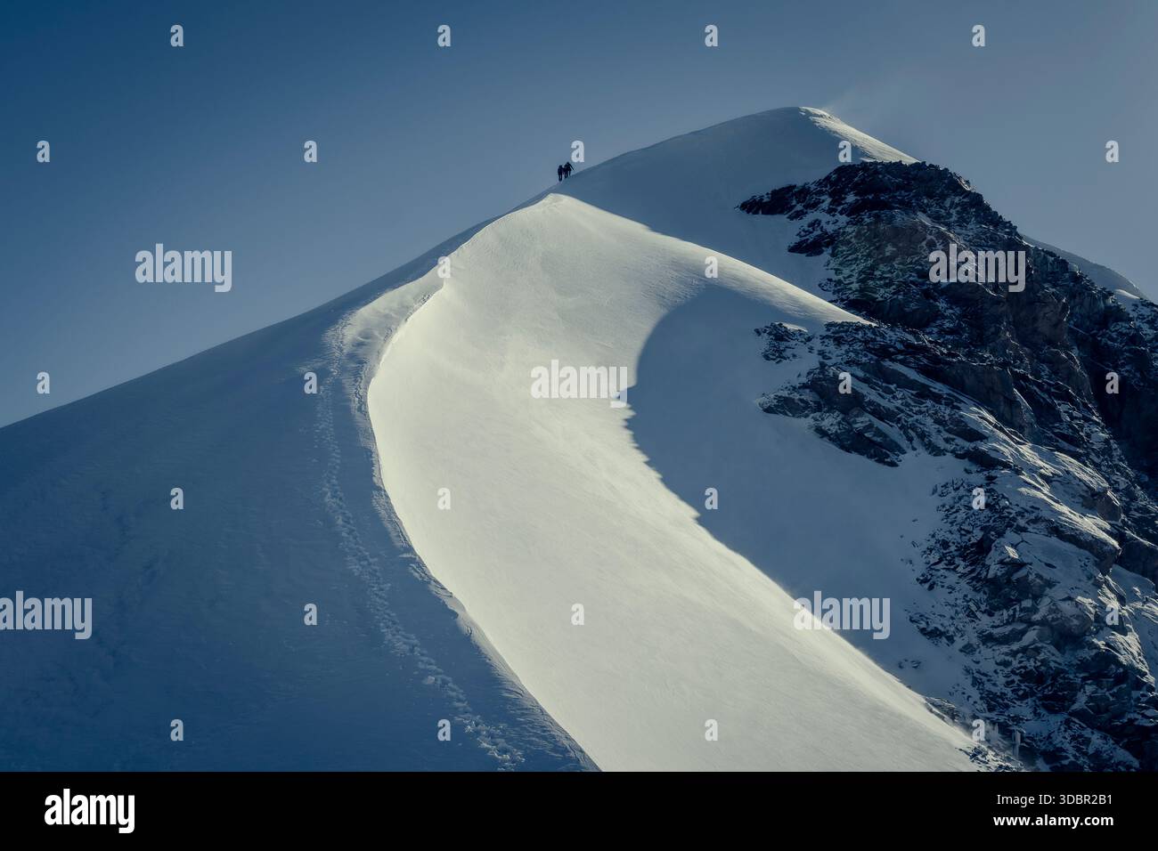 The ridge up to the summit of Pollux at 4092m in the Valais Alps 