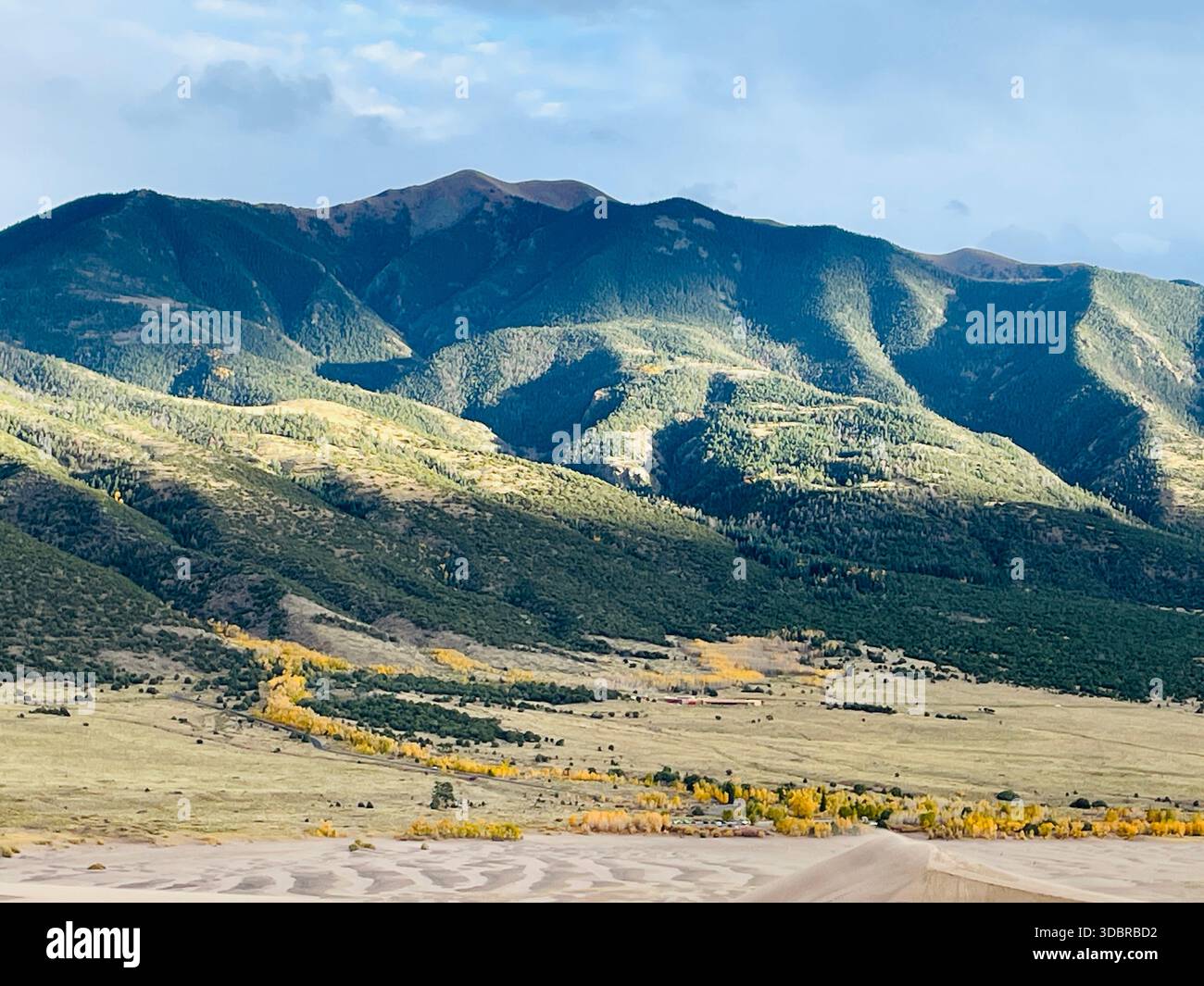 Where golden leaves meet shifting sands, the mountains rise in quiet grandeur under a painted sky. - Smartphone Captured Stock Image