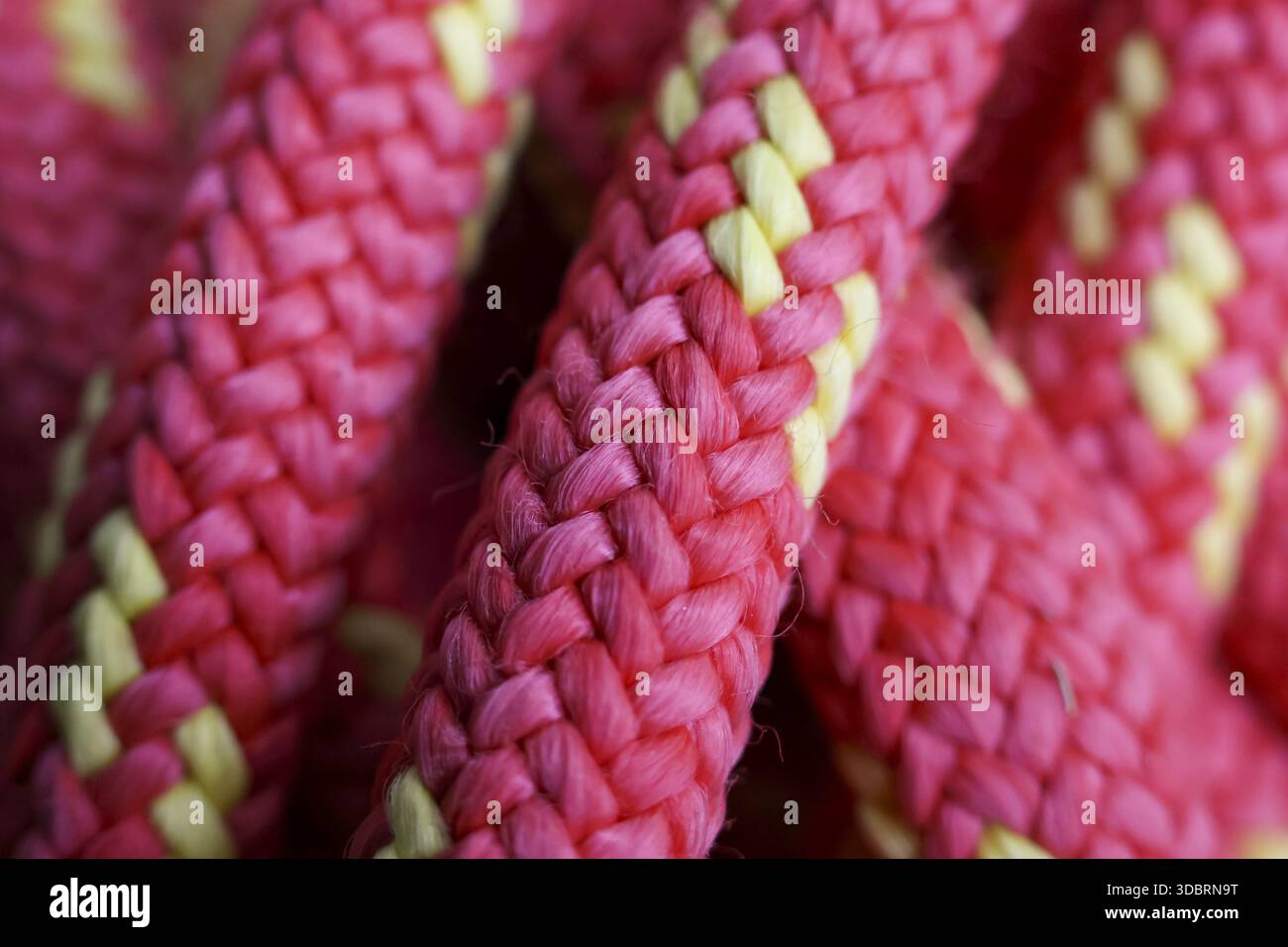 Interconnected fibers hi-res stock photography and images - Alamy