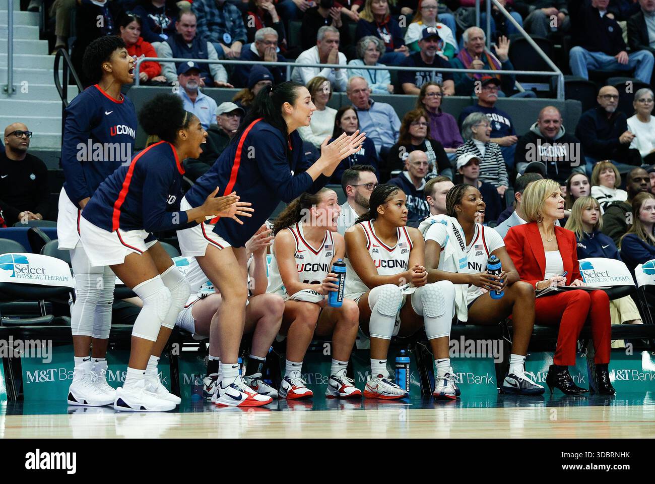 HARTFORD, CT - DECEMBER 17: The UConn Huskies bench encourage their ...