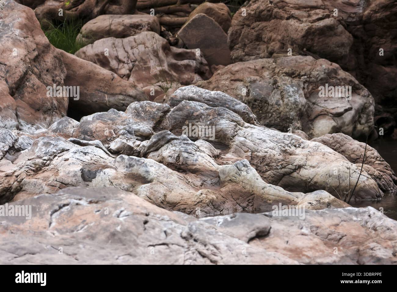 Rugged stone texture and natural rock formation in wild outdoor environment showing rough surface and weathered geology pattern with calm solidity and Stock Photo
