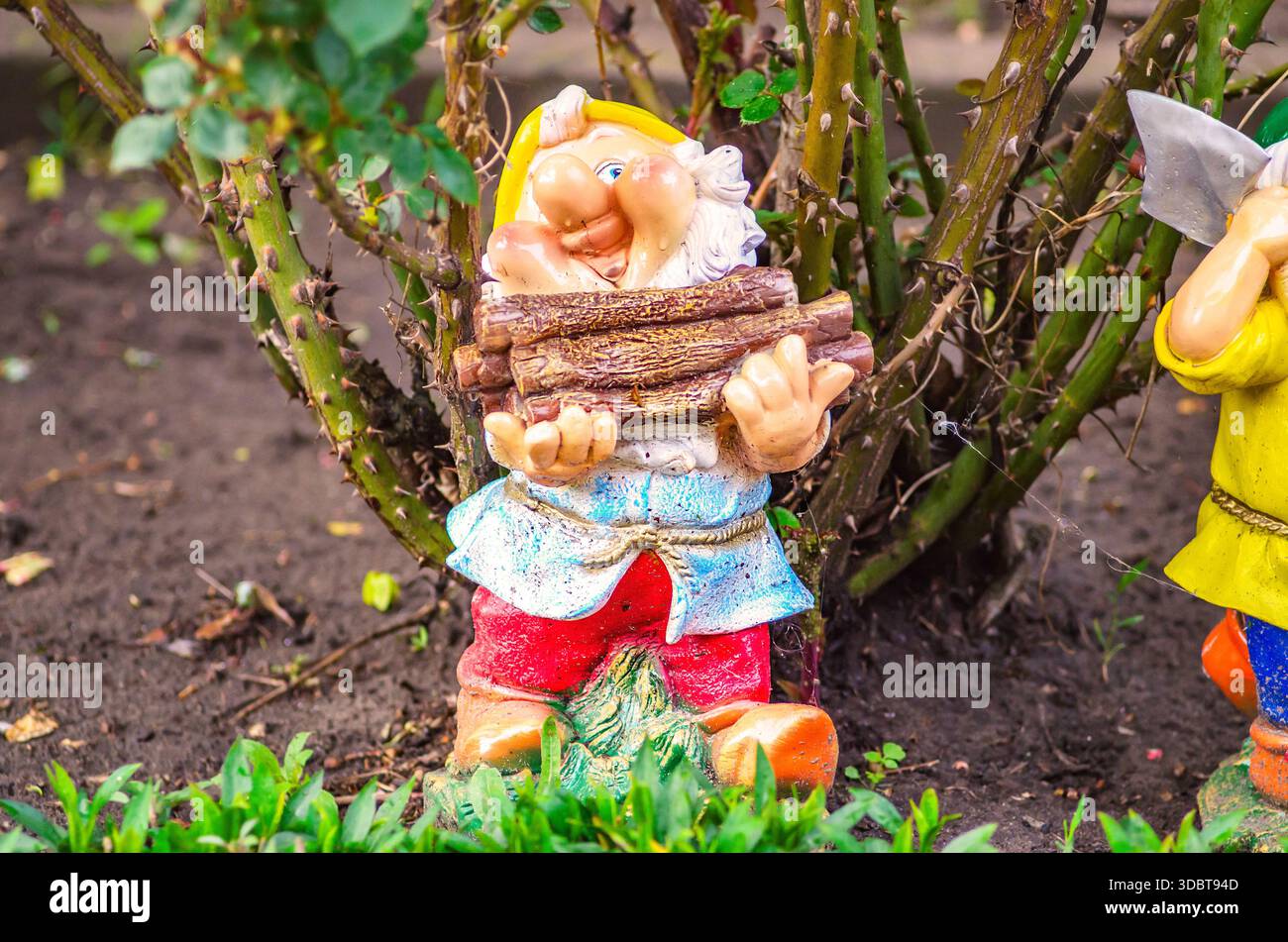 Whimsical garden gnome carrying a bundle of firewood near a thorny rose bush Stock Photo - Alamy Whimsical garden gnome carrying a bundle of firewood near a thorny rose bush Stock Photo - Alamy