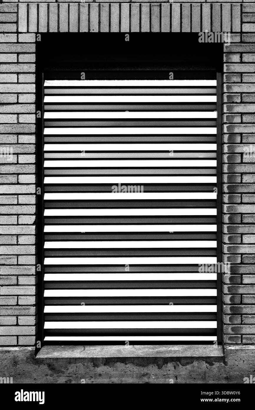 Gallery image with a fresh perspective