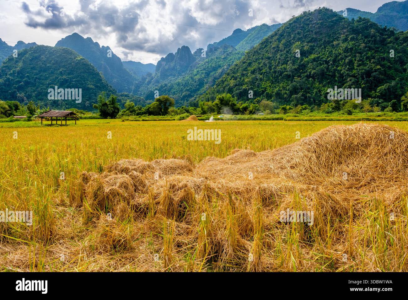 Loas Rural Rural scenery around Vang Vieng in Laos Stock Photo - Alamy