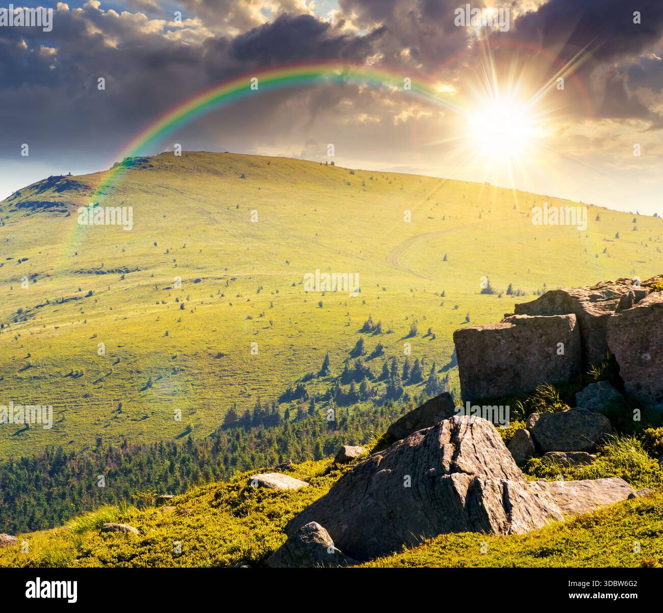 green alpine meadows in mountains in summer at sunset. stones on grassy hills in evening light. popular travel destination for photo. storytelling ima Stock Photo