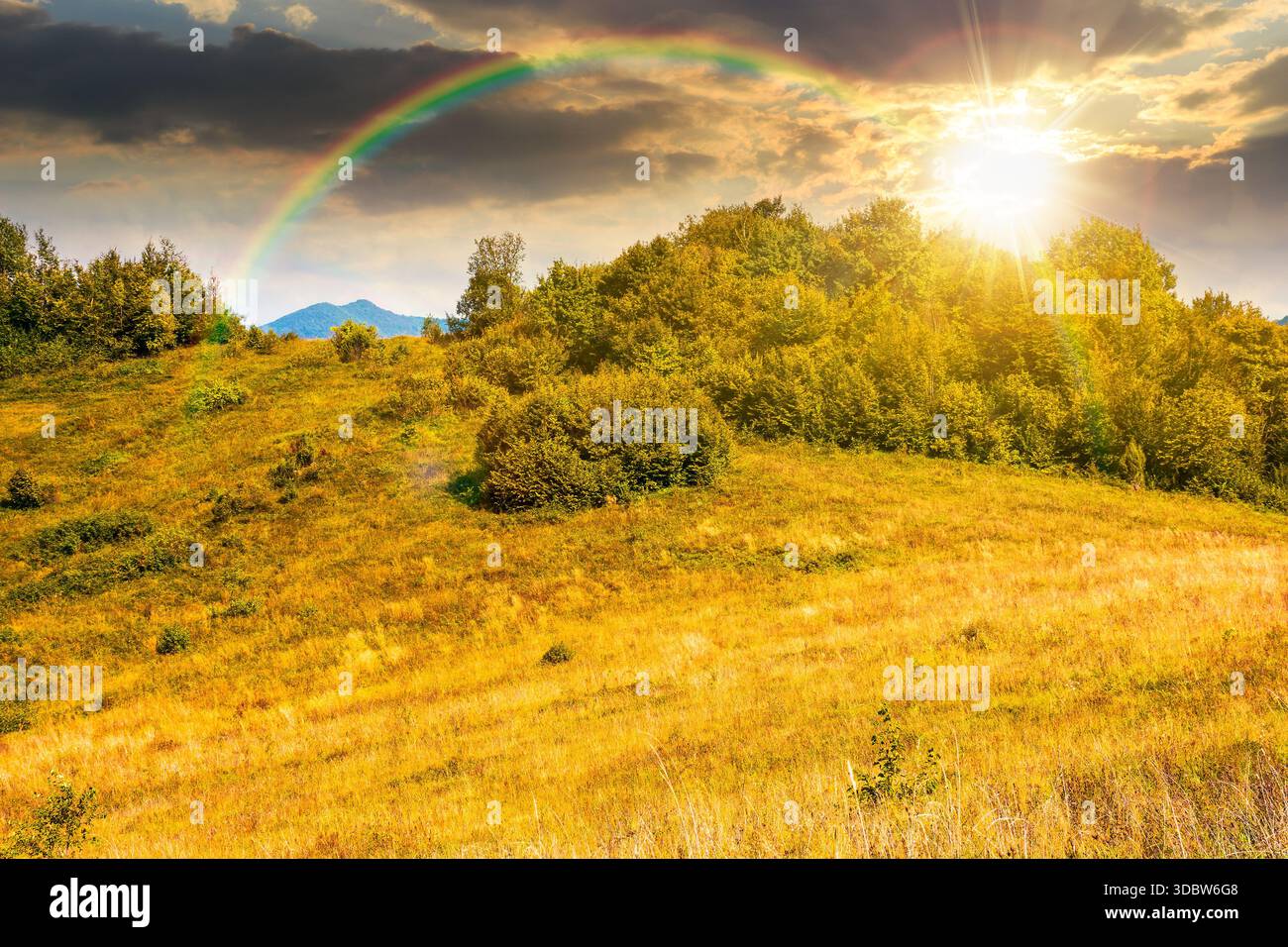 mountain landscape with foliage forest in autumn at sunset. beautiful beech woodland on rolling hills in highland under cloudy sky in evening light. e Stock Photo