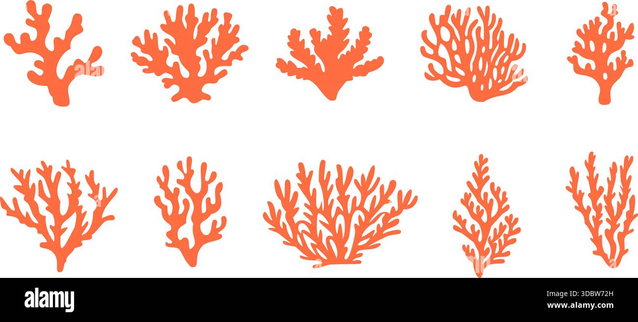 Reef underwater tropical corals sea Stock Vector Images - Alamy