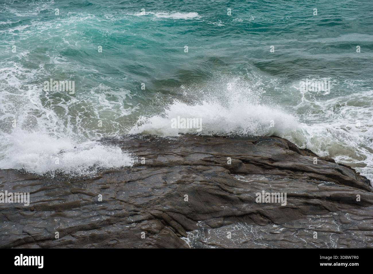 Ocean waves braking on a rock at Muriwai, North Island, New Zealand Stock Photo