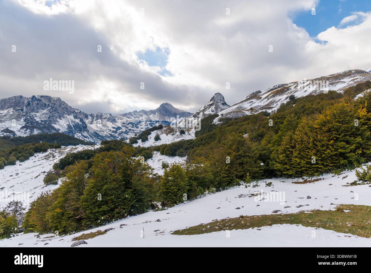 Landscape with snowy mountain peaks in Montenegro and autumn trees in the foreground Stock Photo