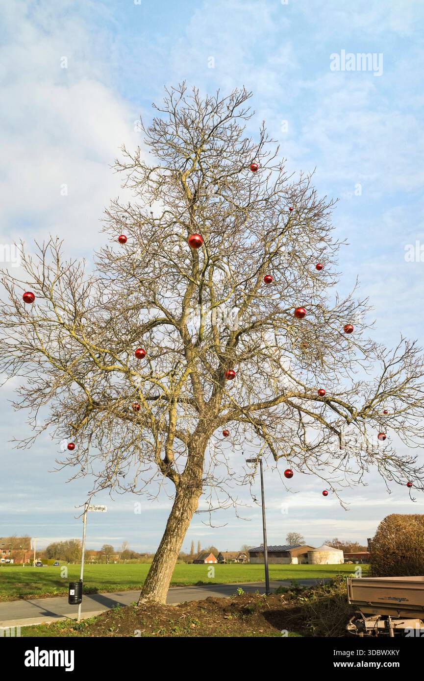 Weihnachtsbaum mal anders 20251218ad634 Absurdität, Baum, Baumkrone, Baumschmuck, Christbaum, Dekoration, Design, Fantasie, Feierlichkeit, Freiluftdekoration, Humor, Idee, Irritation, Jahreszeit, Kugeln, Kunst, Kuriosität, Laubbaum, Natur, Pointe, Rot