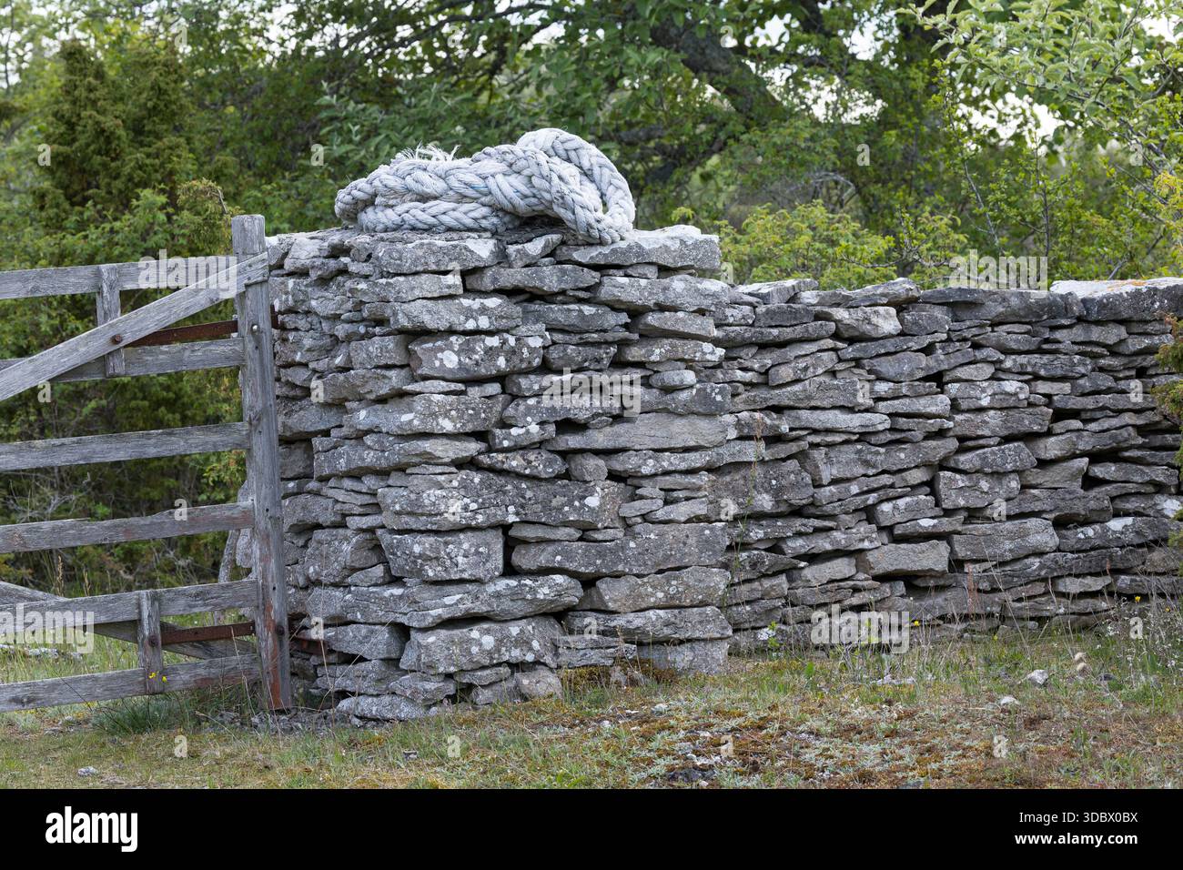 Steinmauer, Trockenmauer, Natursteinmauer, Mauer, Legesteinmauer, Natural stone wall, dry stone wall, drywall, Gotland, Schweden Stock Photo