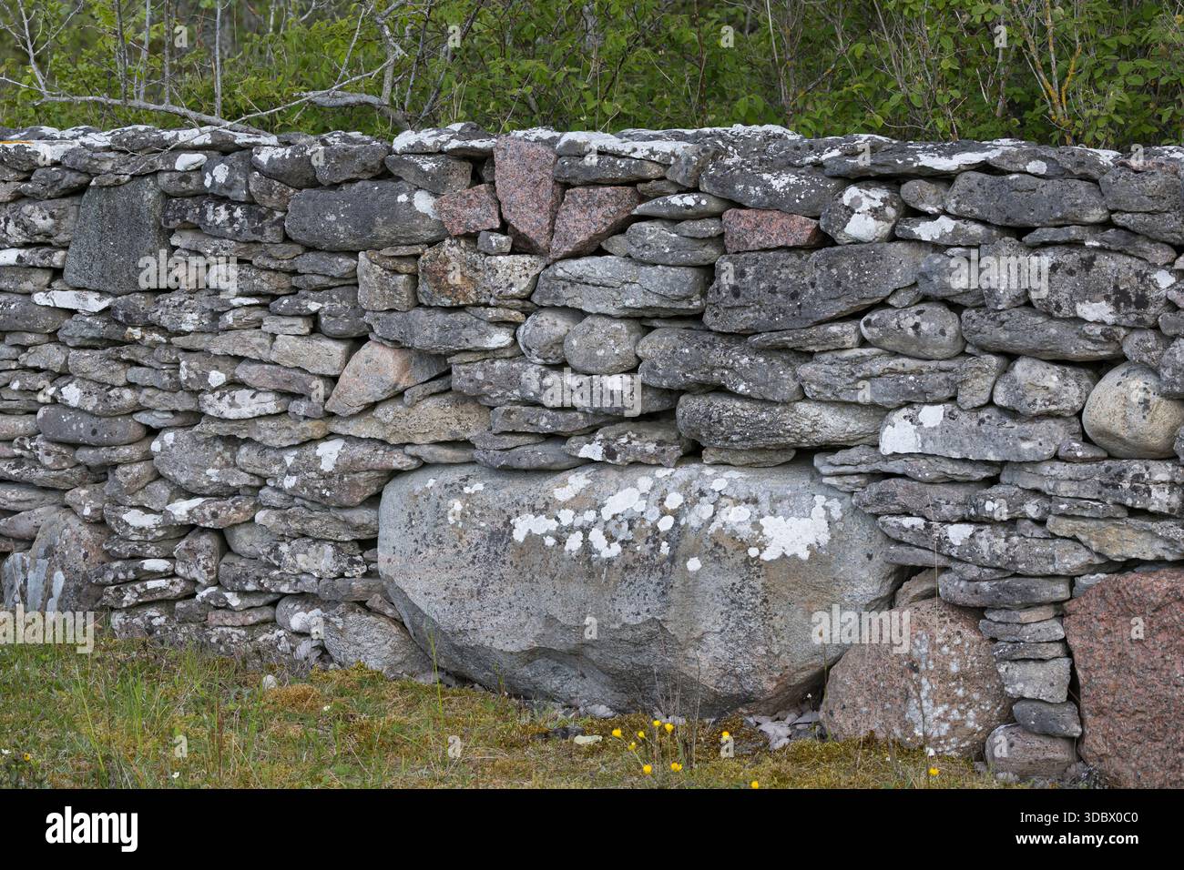 Steinmauer, Trockenmauer, Natursteinmauer, Mauer, Legesteinmauer, Natural stone wall, dry stone wall, drywall, Gotland, Schweden Stock Photo