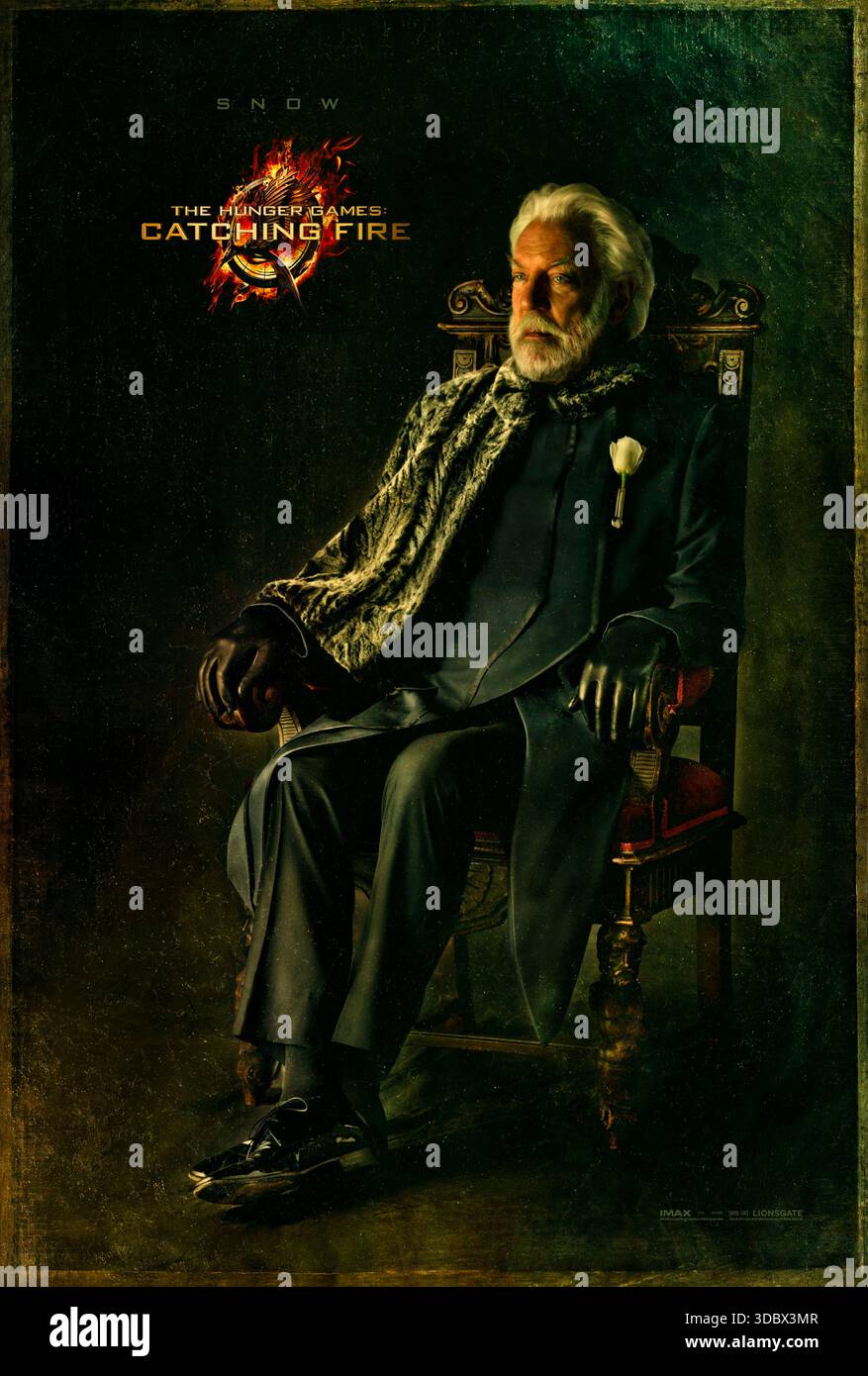 Catching Fire Victor Posters