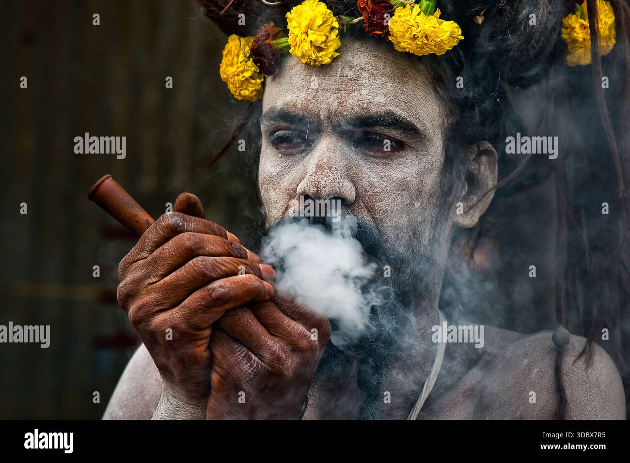 tobacco in hinduism Hindu sadhu smoking chillum at Babughat during Gangasagar pilgrimage  preparations, Kolkata Stock Photo