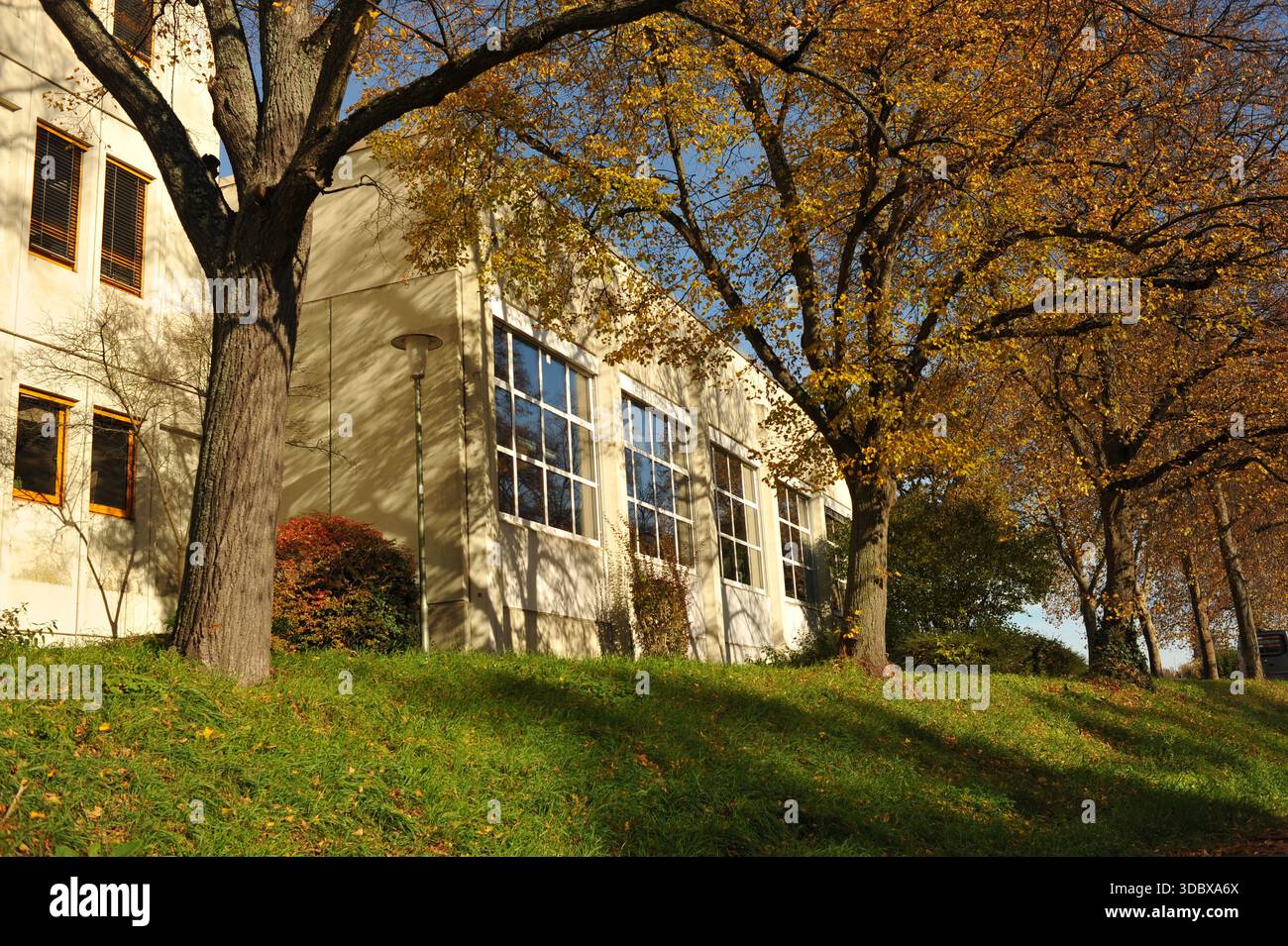 Pforzheim, Germany Dezember Sunlit autumn campus building on slope framed by golden trees casting long shadows, glass windows Stock Photo