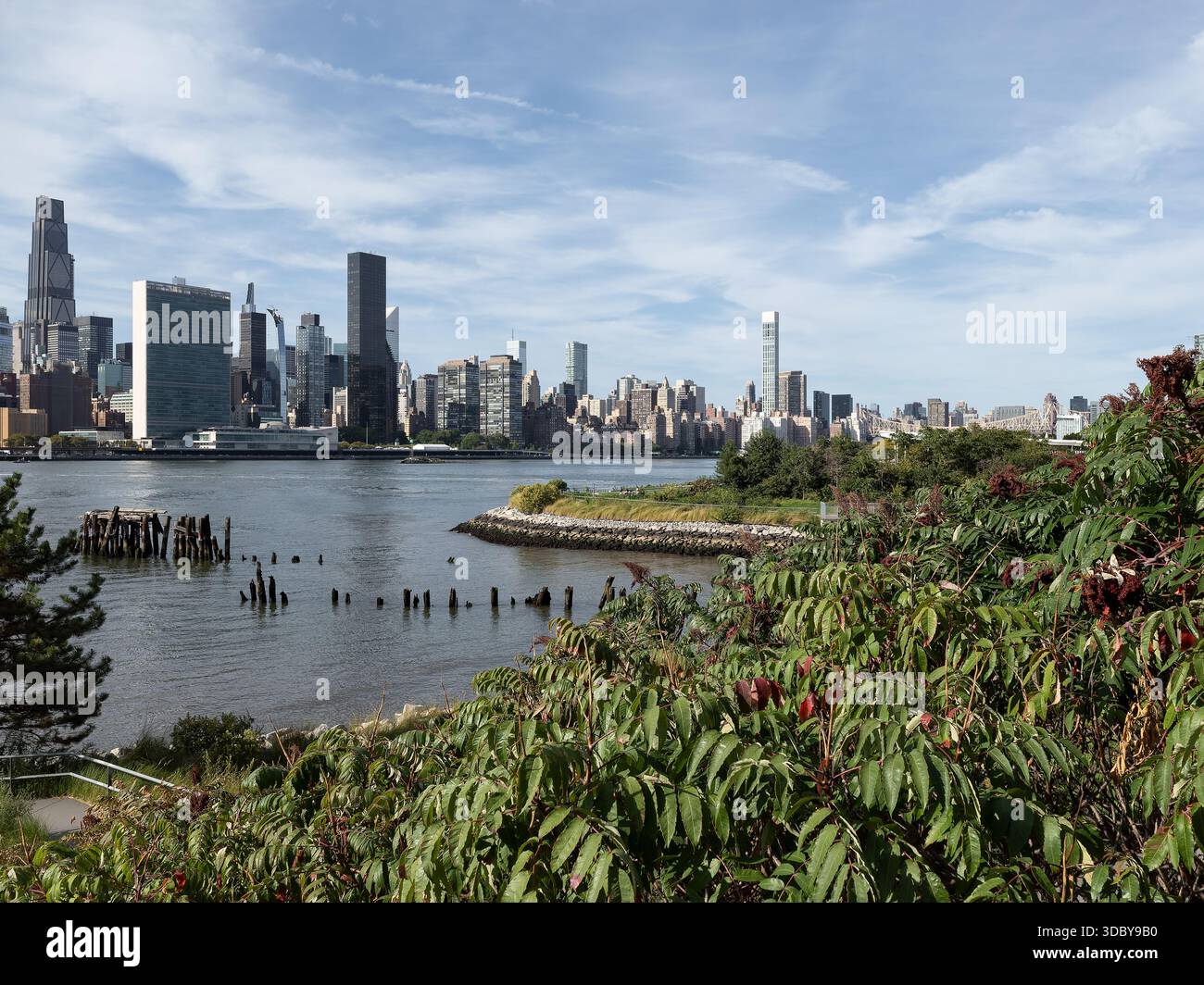 Hunter's Point South Waterfront Park, Location: New York NY, Landscape Architect: SWA Stock Photo