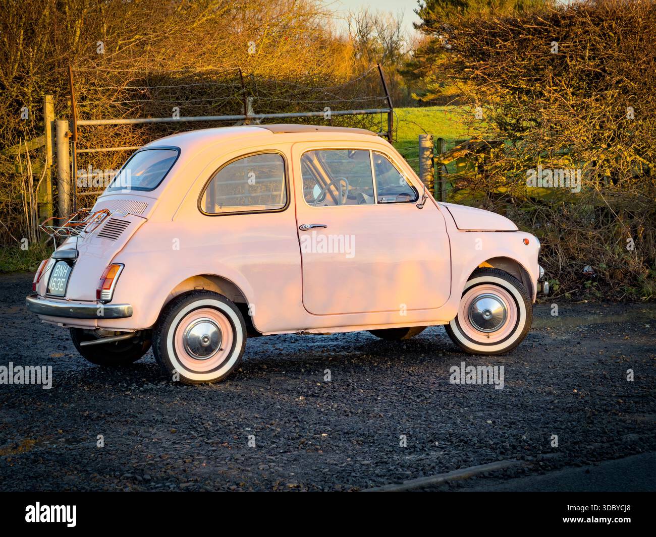 Vintage pastel pink classic 1960s Fiat 500 parked on rural roadside next to open countryside under soft evening light at sunset - Smartphone Captured Stock Image