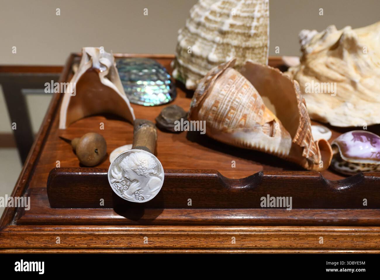 Process of creating a cameo from shell by master carver in Pompeii, Italy Stock Photo