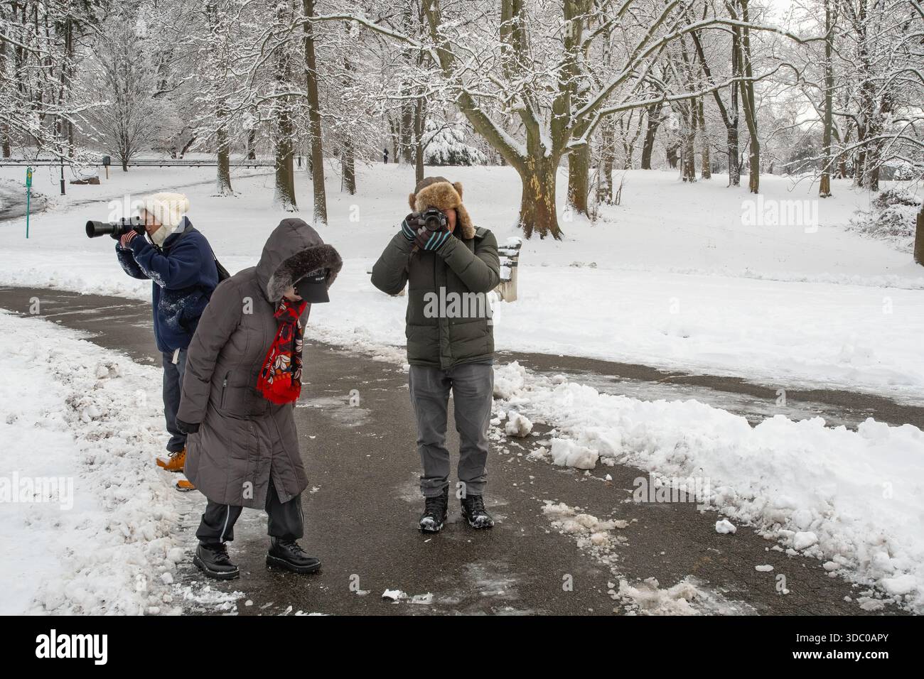 Kissena Park in mid-December Stock Photo