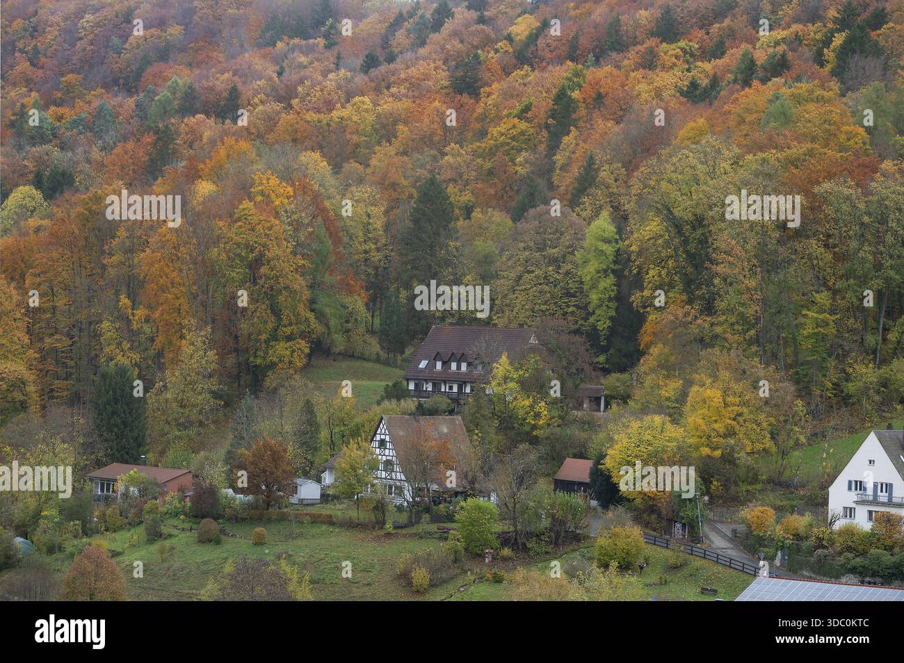 Herbstlicher Mischwald, Egloffstein, Upper Franconia, Bavaria, Germany Stock Photo