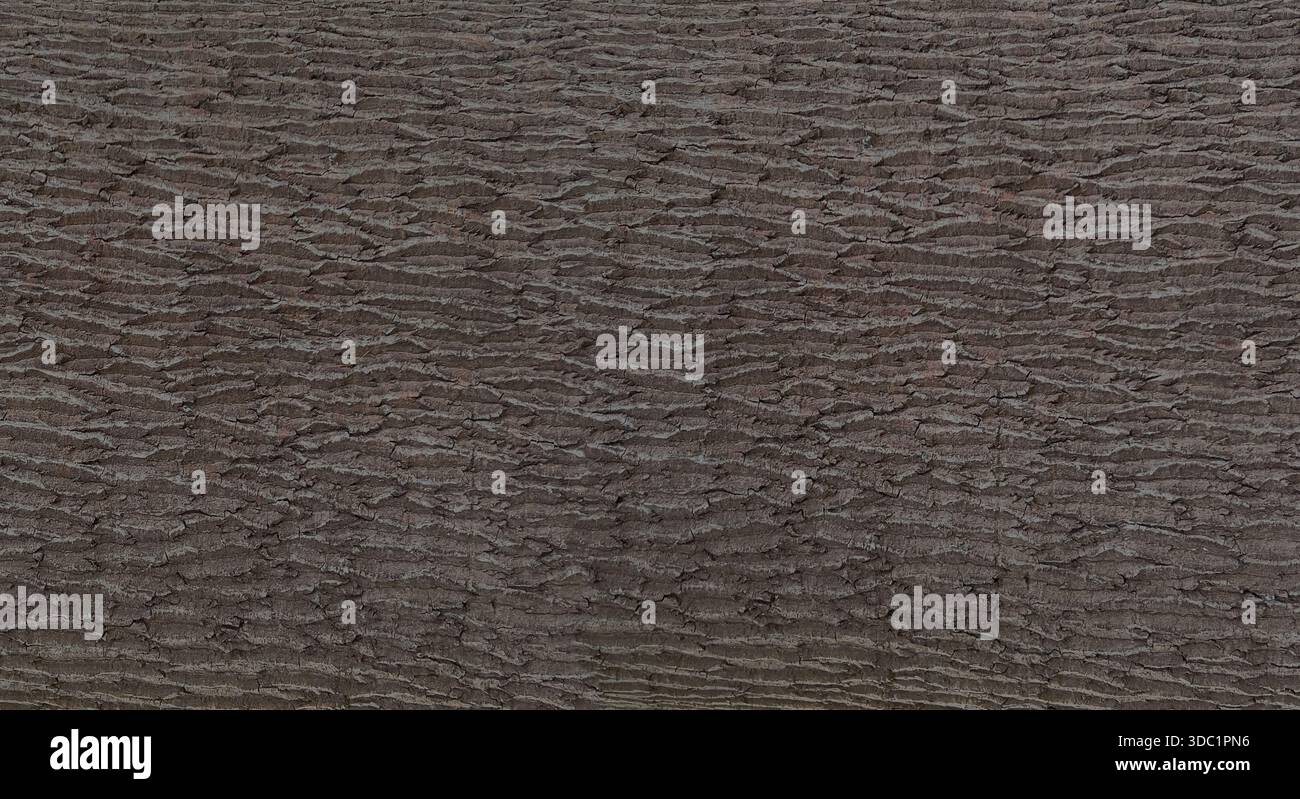 Tree bark showing detailed rough texture and brown surface pattern Stock Photo