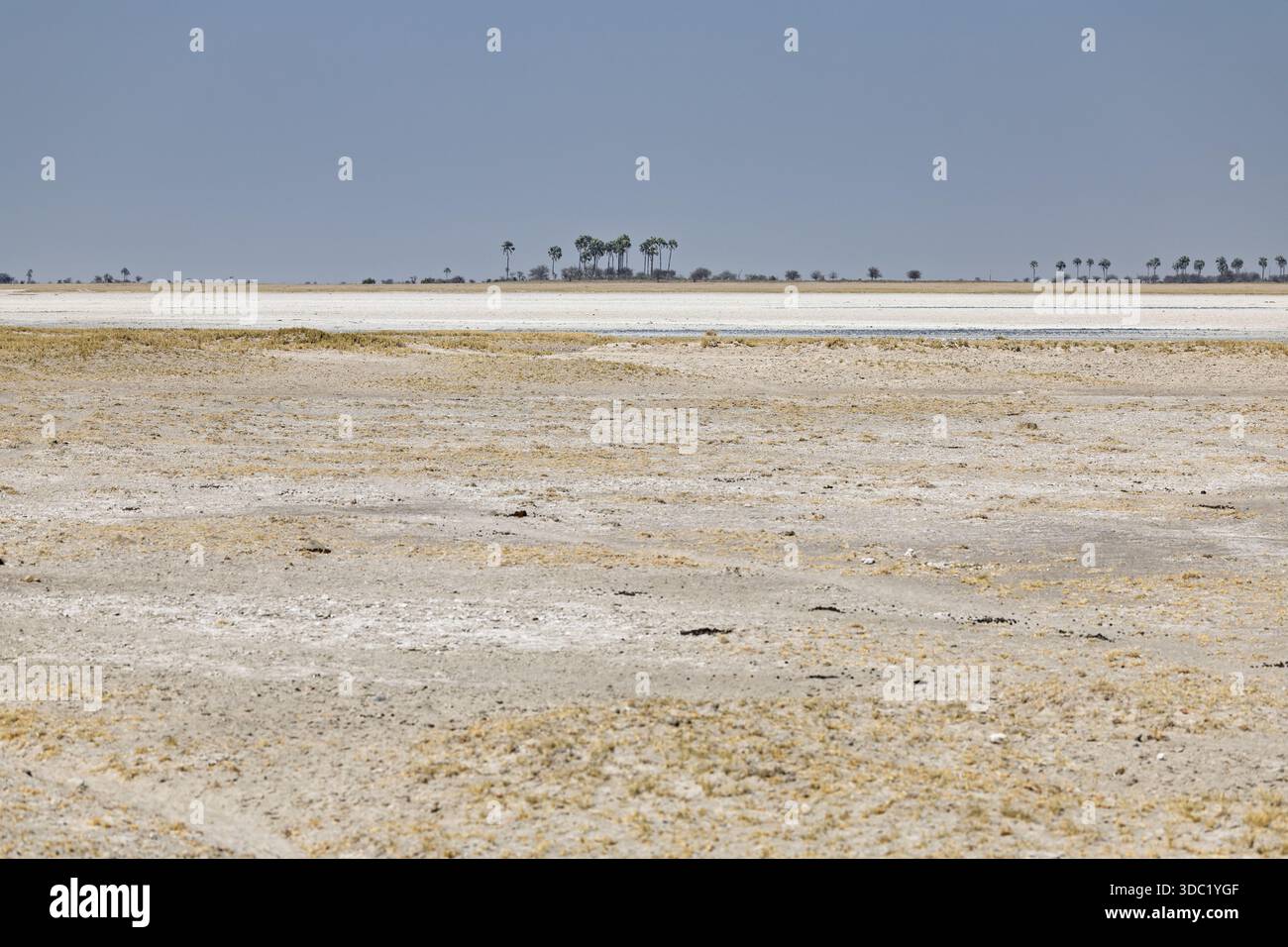 Makgadikgadi pans, Botswana Stock Photo