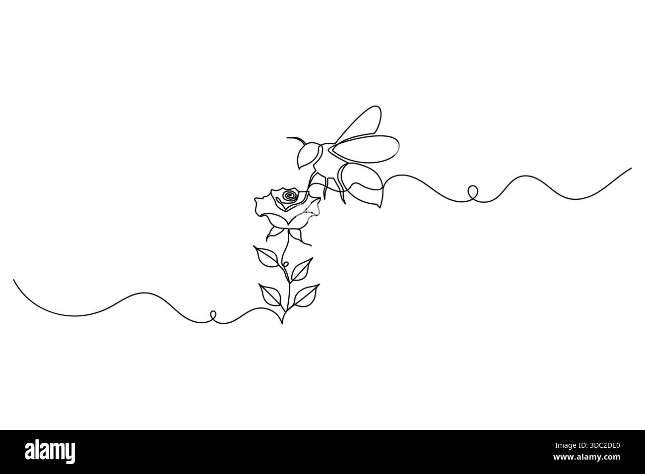 Bee pollinating rose continuous line drawing floral insect design Stock Vector