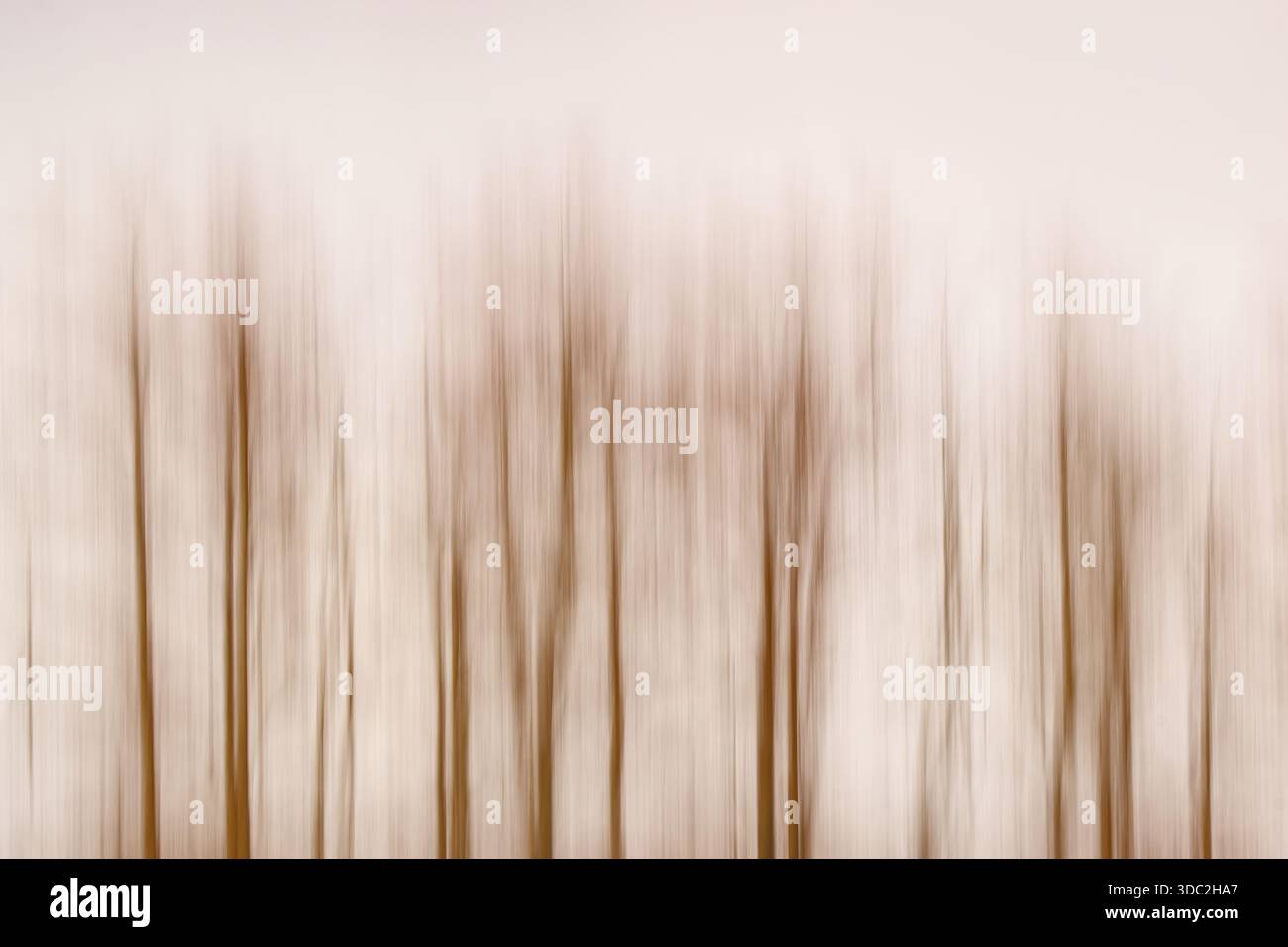 Abstract modern surreal backgroung. Blurred trees. Stock Photo